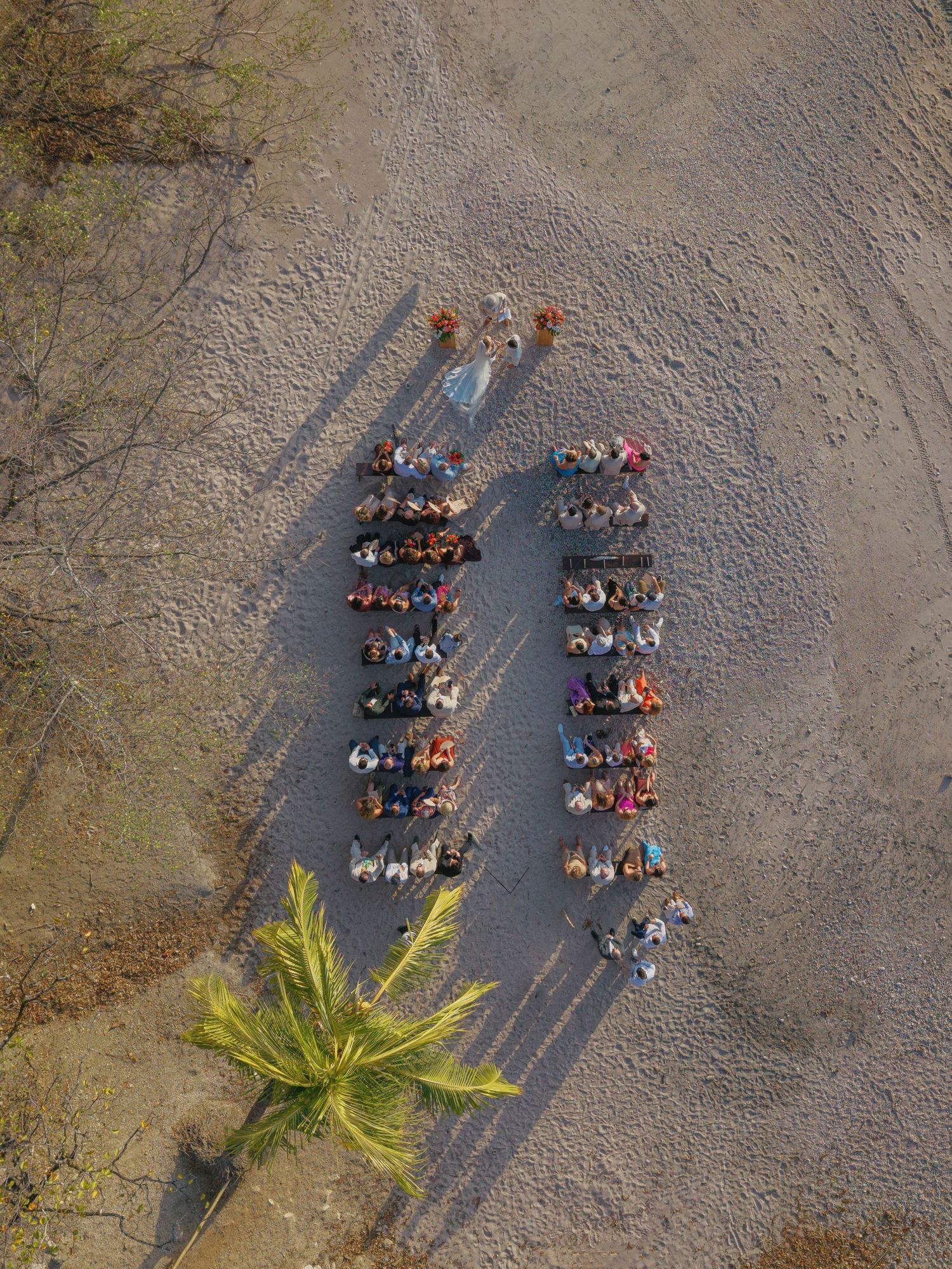 Aerial view of people forming letters on the ground with palm trees in the background.