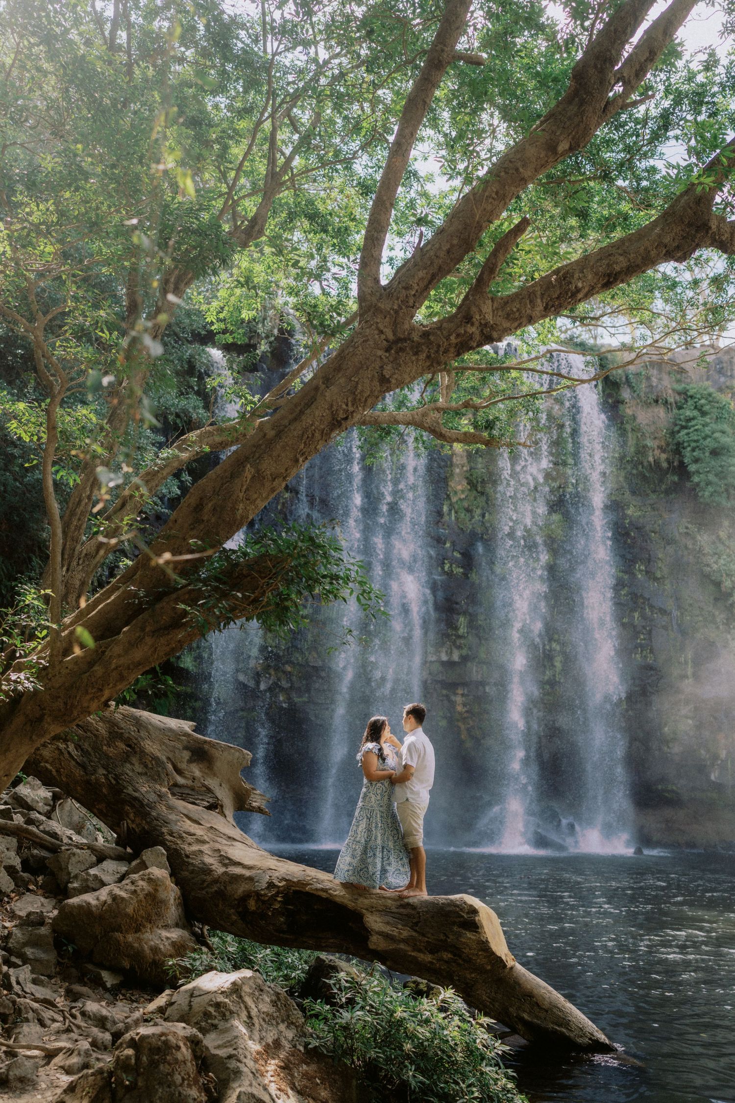 A majestic waterfall flows into a serene pool surrounded by large trees and rocky outcrops.