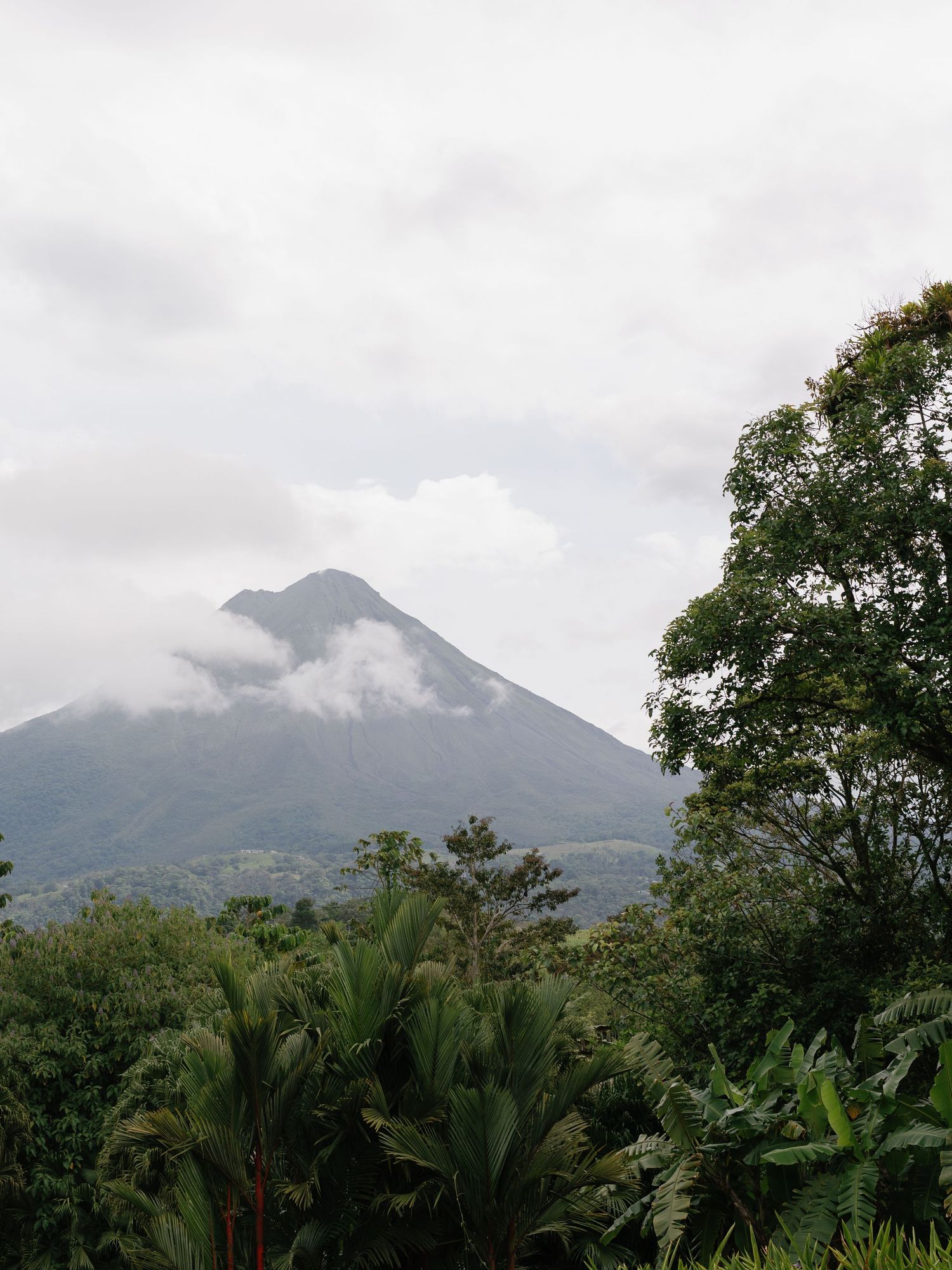 Misty mountain peak rises above tropical foliage in a cloudy landscape.