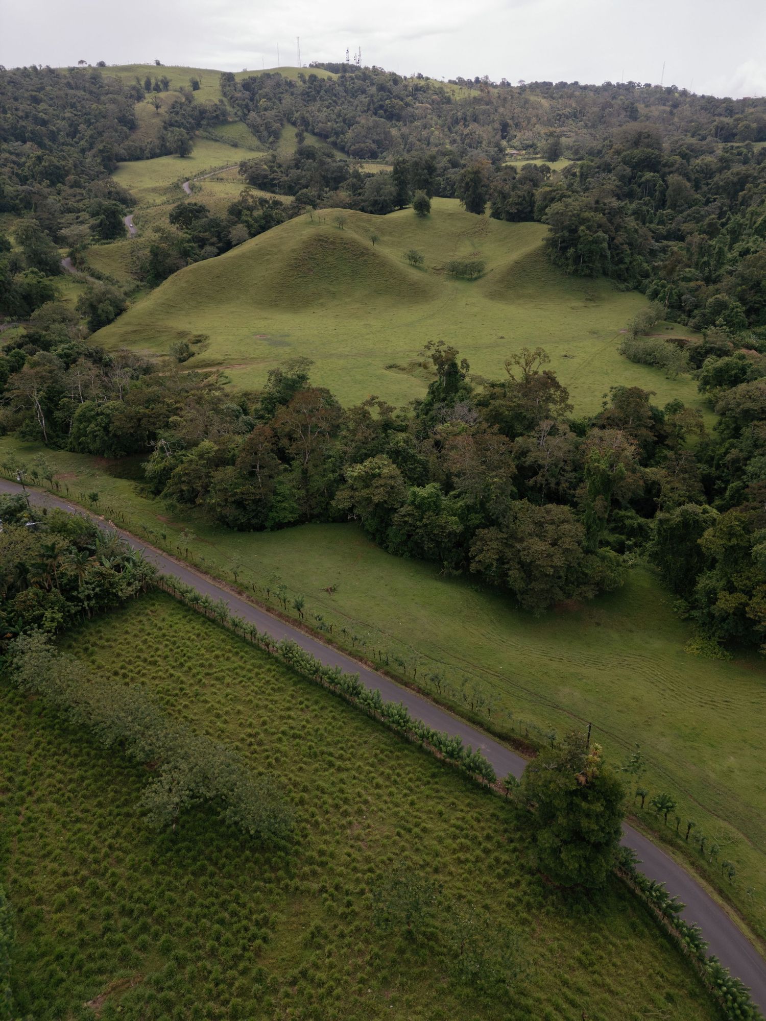 Aerial view of a winding road through green rolling hills and forested landscape.