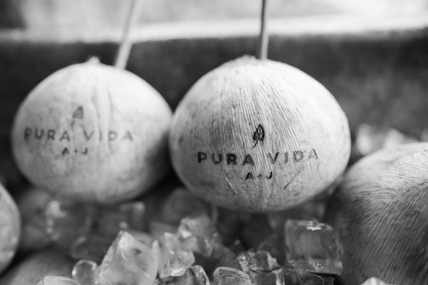 Close-up of decorated coconuts with text written on their surfaces.