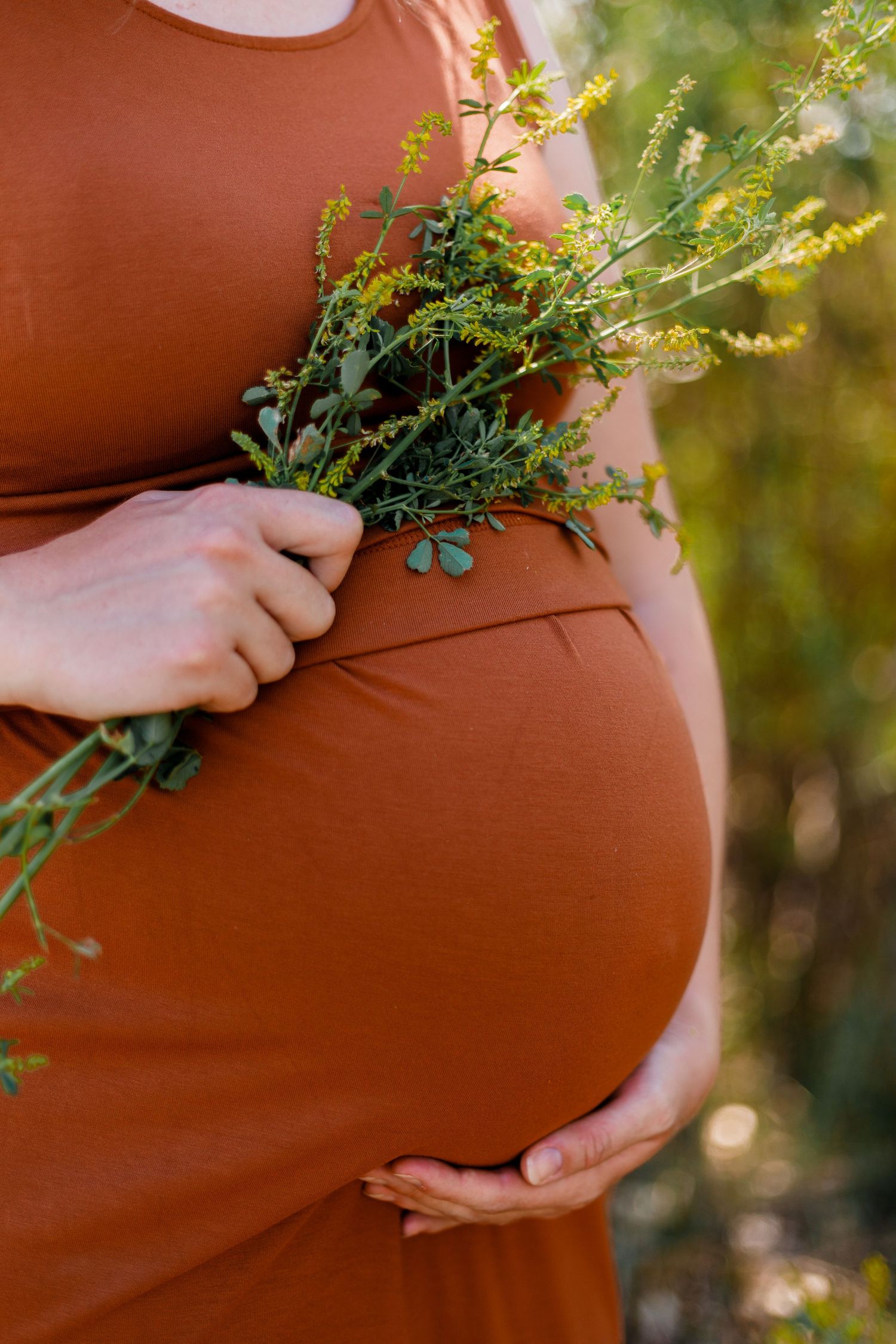 A close-up of a pregnant belly in a rust-colored dress holding wildflowers.