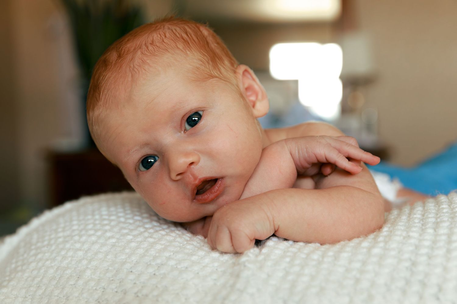 Series of intimate newborn portraits showing baby resting on white bedding.