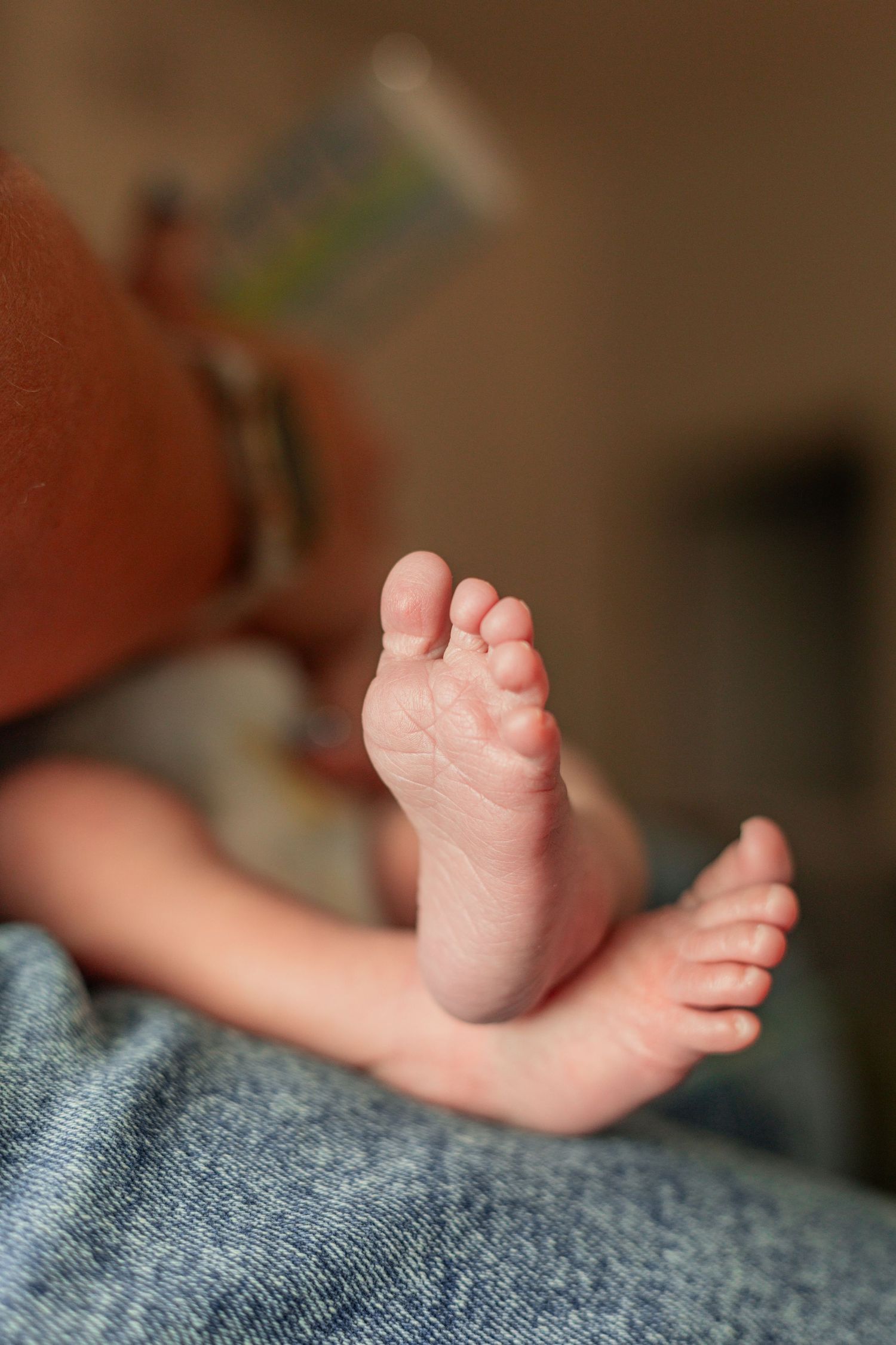 Close-up of tiny newborn baby feet resting on a blue blanket in soft natural light.