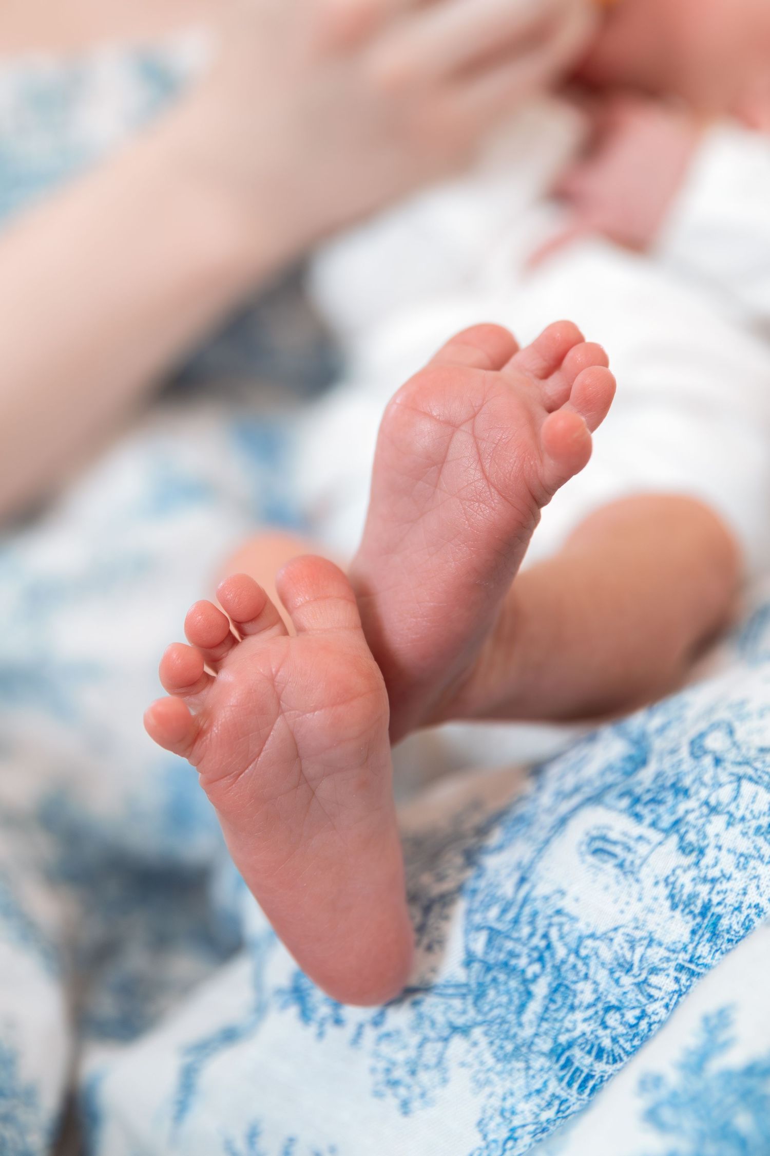 Close-up of tiny baby feet resting on blue and white patterned fabric.