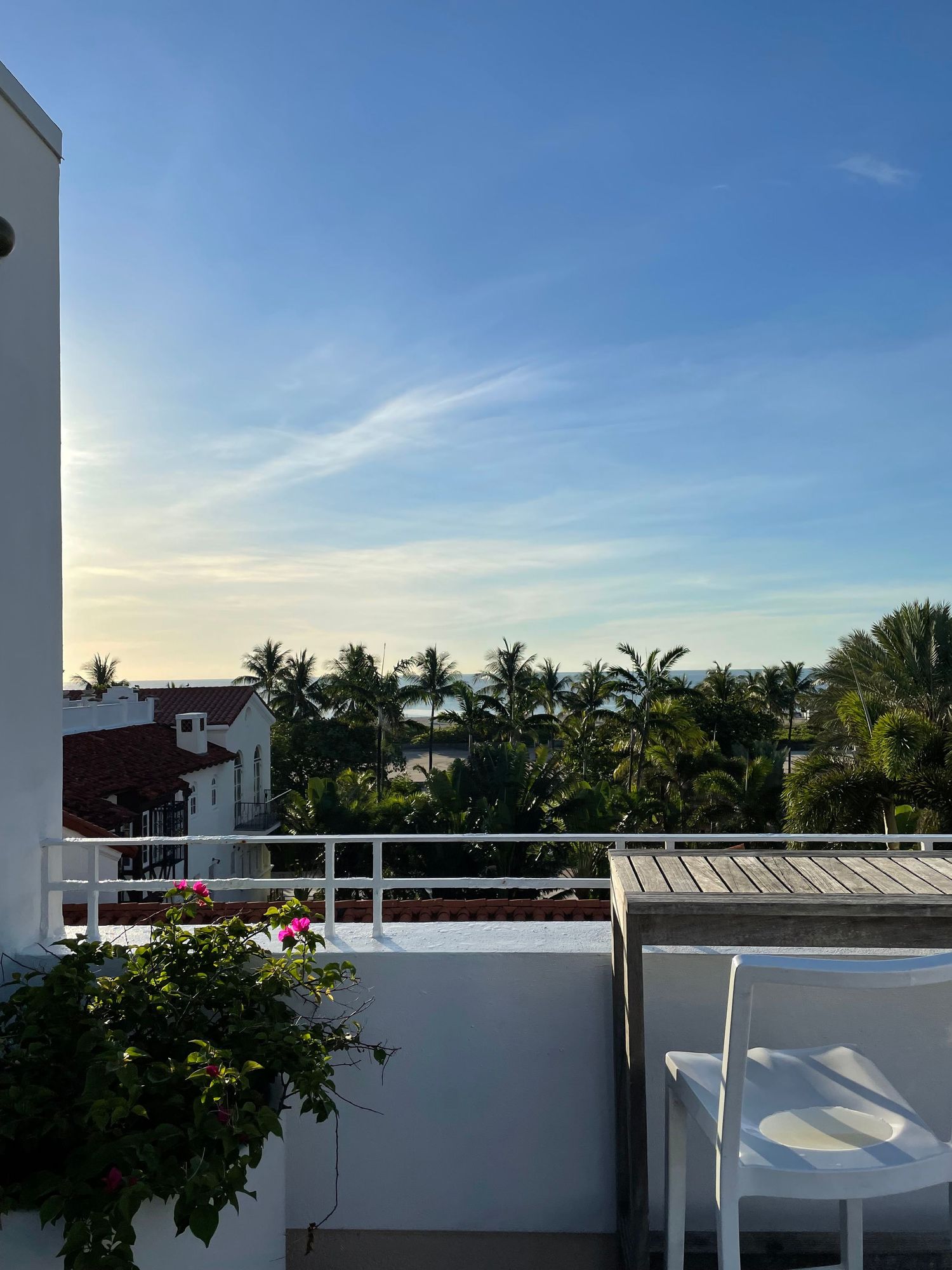 Panoramic view of a tropical resort rooftop with white pillars and palm trees against a blue sky at sunset.