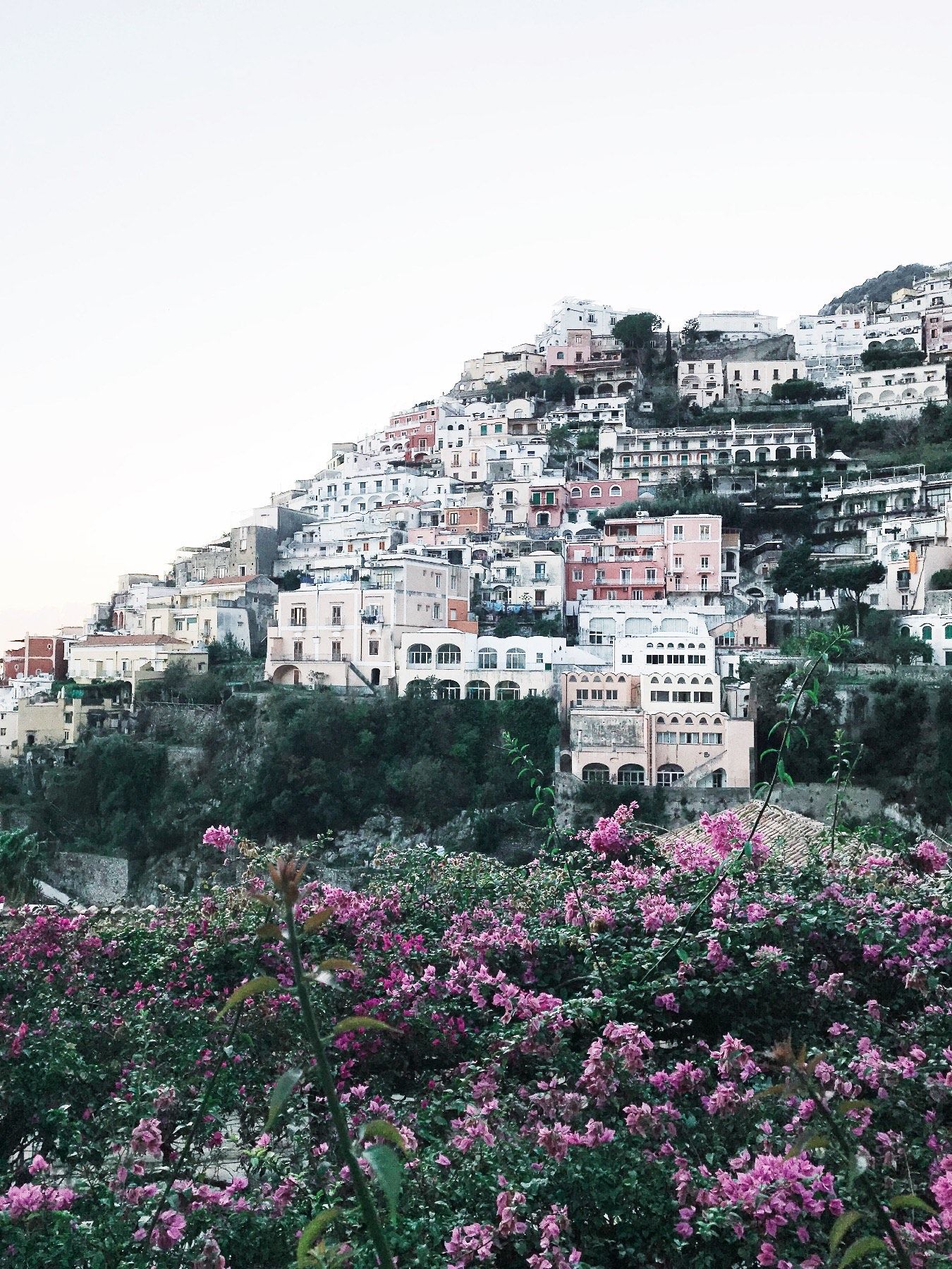 Picturesque view of colorful hillside houses in Positano Italy with pink bougainvillea flowers in the foreground.