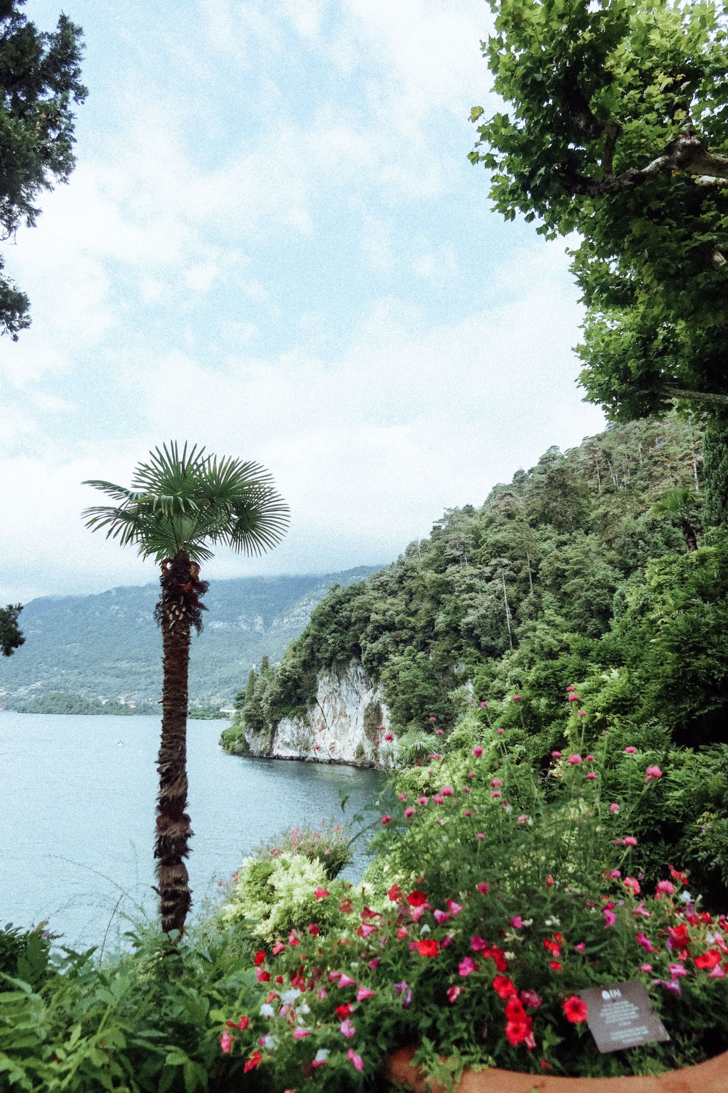 A palm tree and red flowers overlook a scenic lake with rocky cliffs in the Mediterranean landscape.