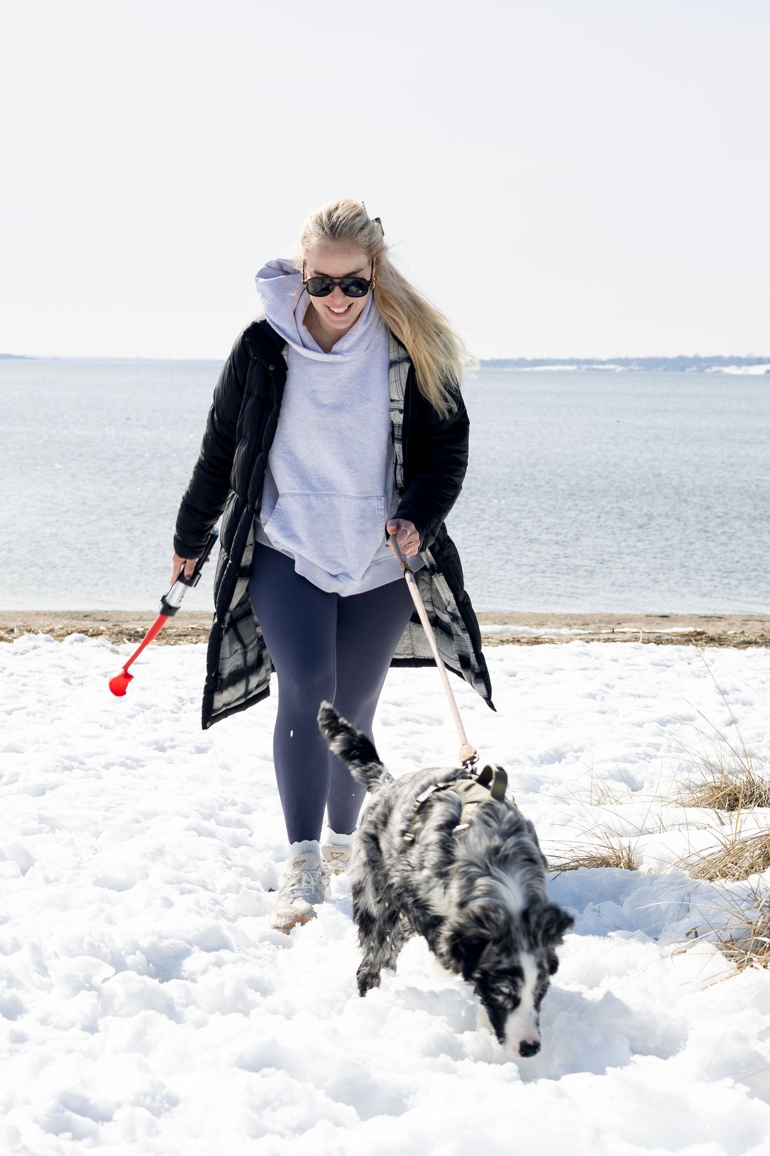 A person in a black jacket and sunglasses plays with an Australian Shepherd dog in the snow at a beach.