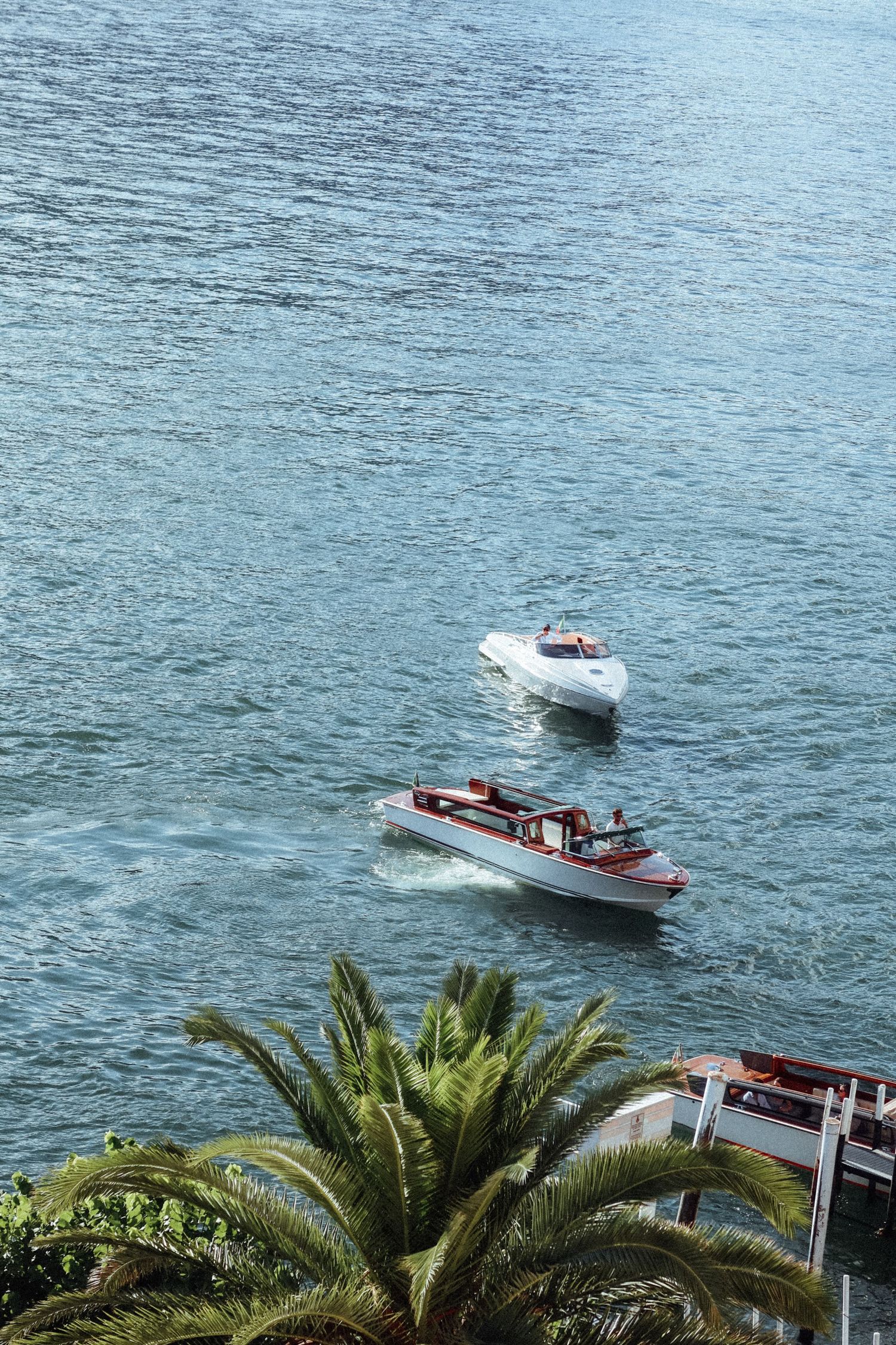 Speedboats cruising past palm trees along a Mediterranean coastline.