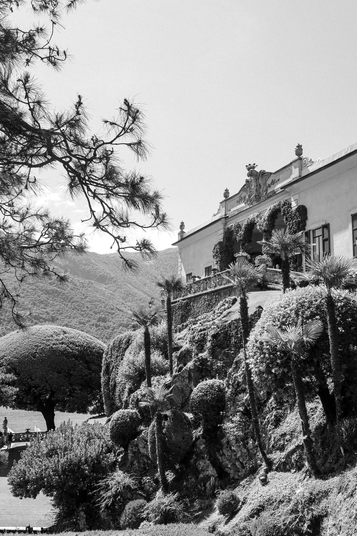 Black and white view of Mediterranean villa gardens with sculpted topiaries and stone walls.