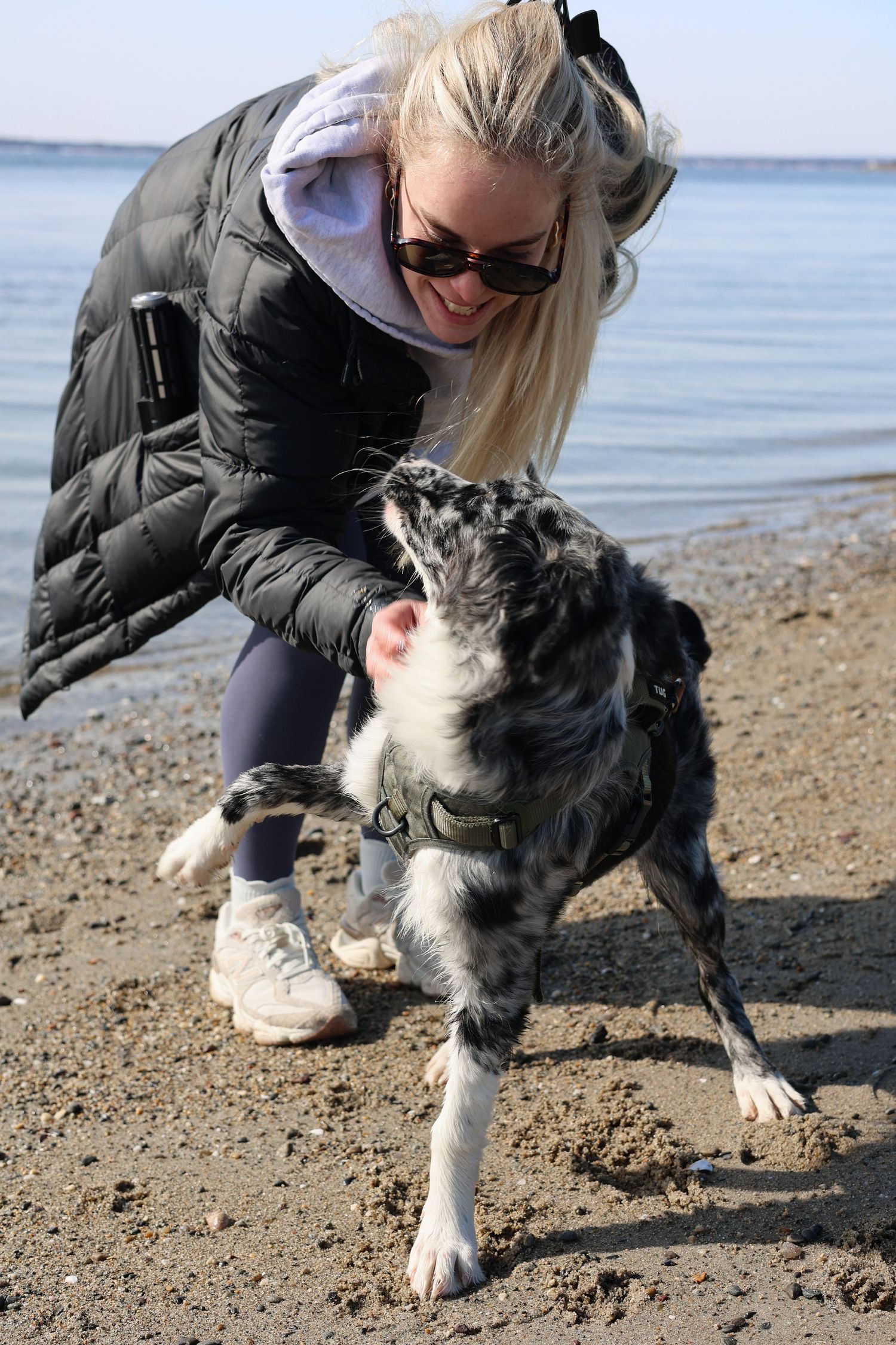 A person and their black and white dog playing together on a sandy beach by the ocean.