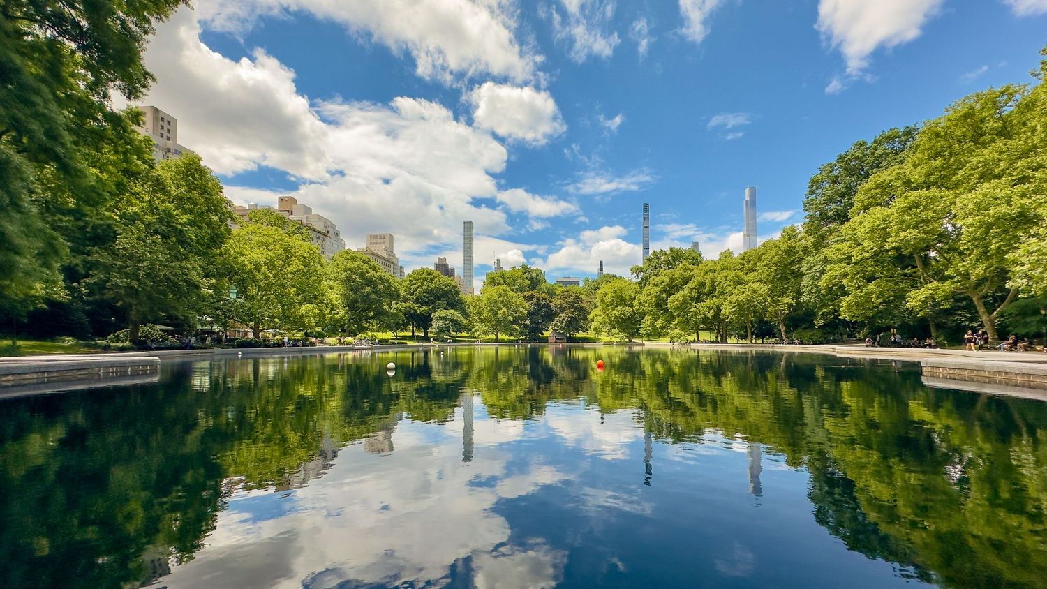 Serene Central Park pond reflecting lush green trees and NYC skyline under a bright blue sky with fluffy white clouds.
