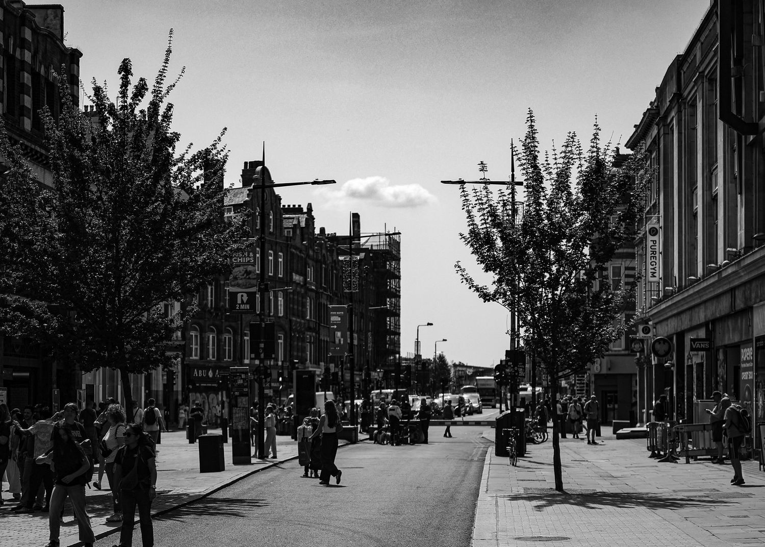 Busy urban street scene in black and white with pedestrians, trees, and historic buildings lining the sidewalk.