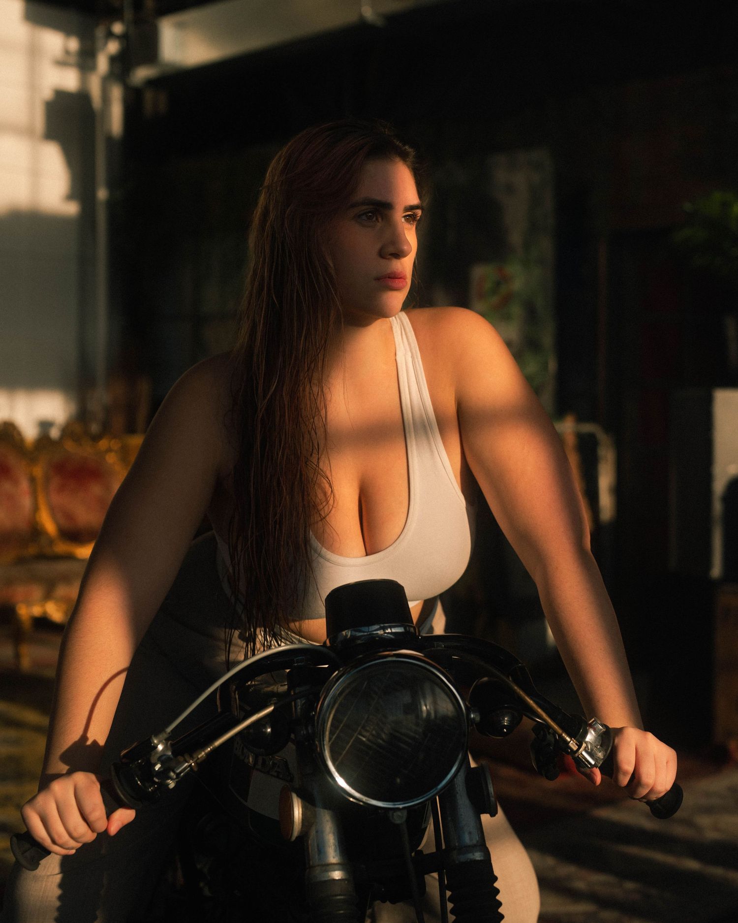 Athletic figure on exercise bike silhouetted against dramatic sunset lighting.