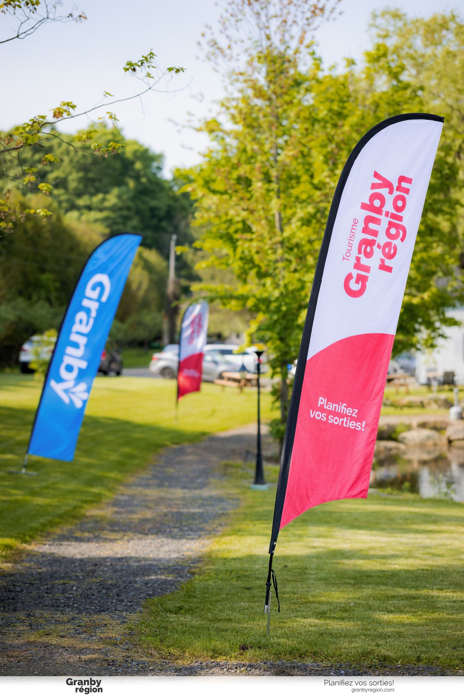 Colorful promotional flags line a gravel path in a green park setting during an outdoor event.