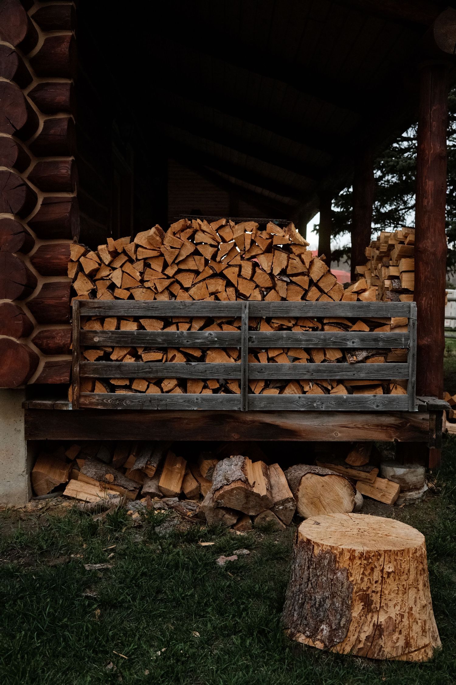 Stacked firewood in a rustic log cabin woodshed with a tree stump in the foreground on green grass.