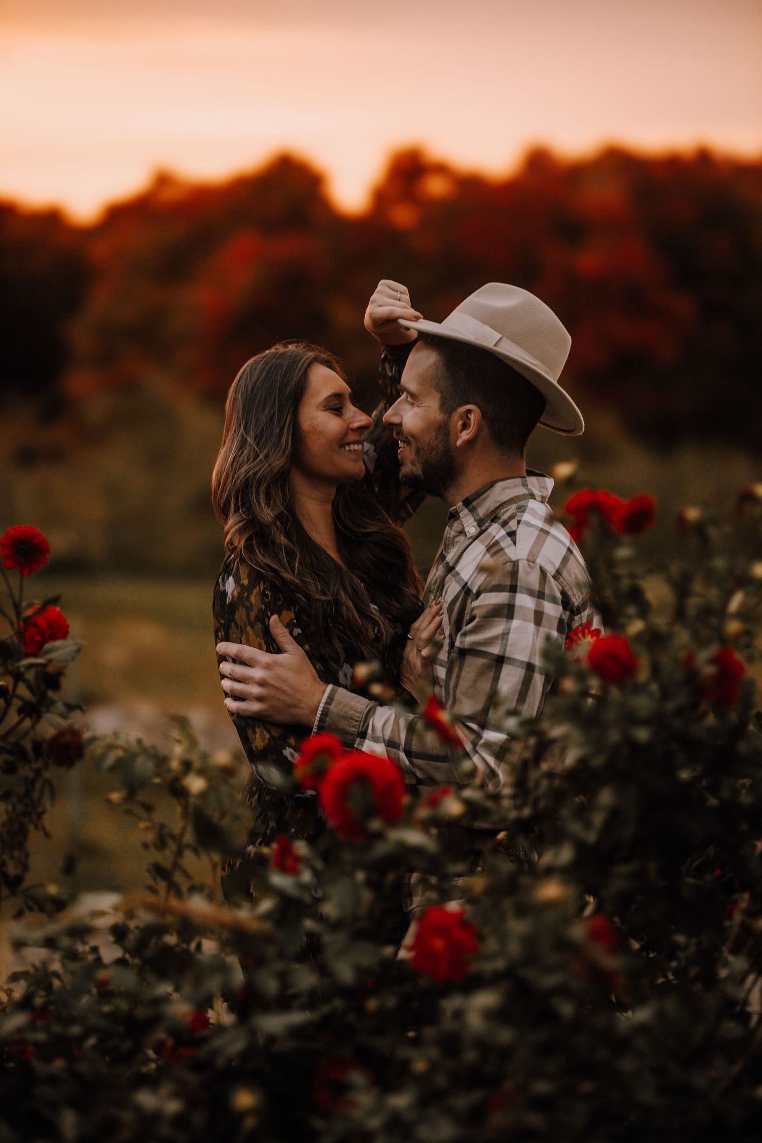 A romantic sunset moment among blooming red roses in an autumn garden.