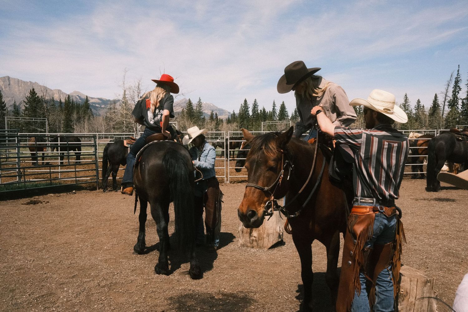 Cowboys in hats ride horses in a dusty corral with pine trees and mountains in the background.