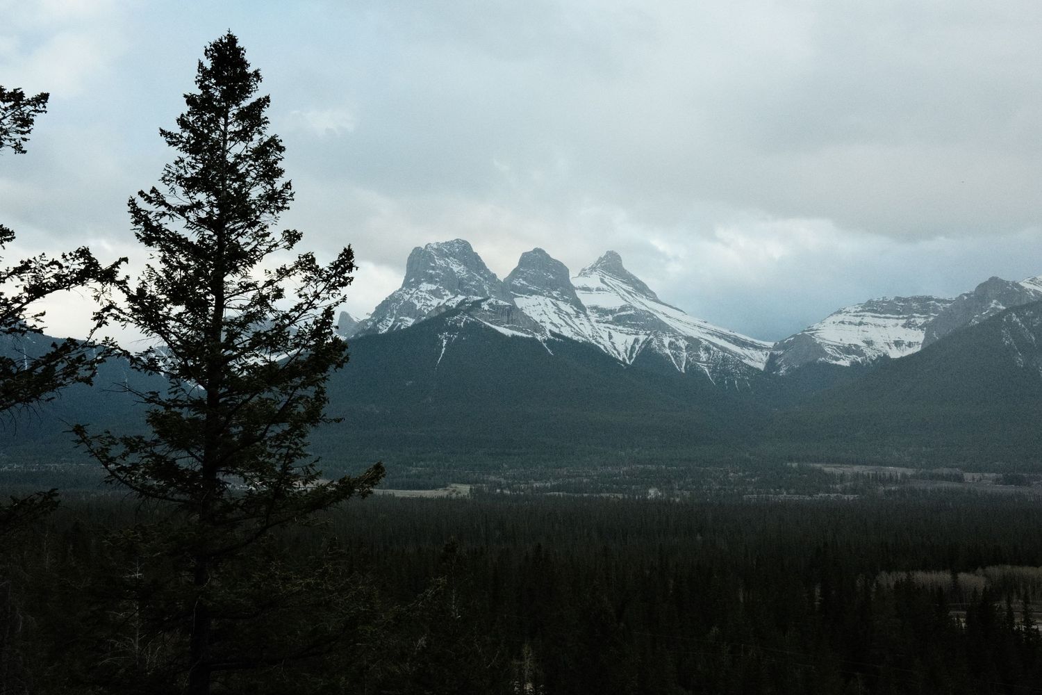 Snow-capped Three Sisters mountain peaks rise above a forested valley under cloudy skies in Canmore, Alberta, Canada.