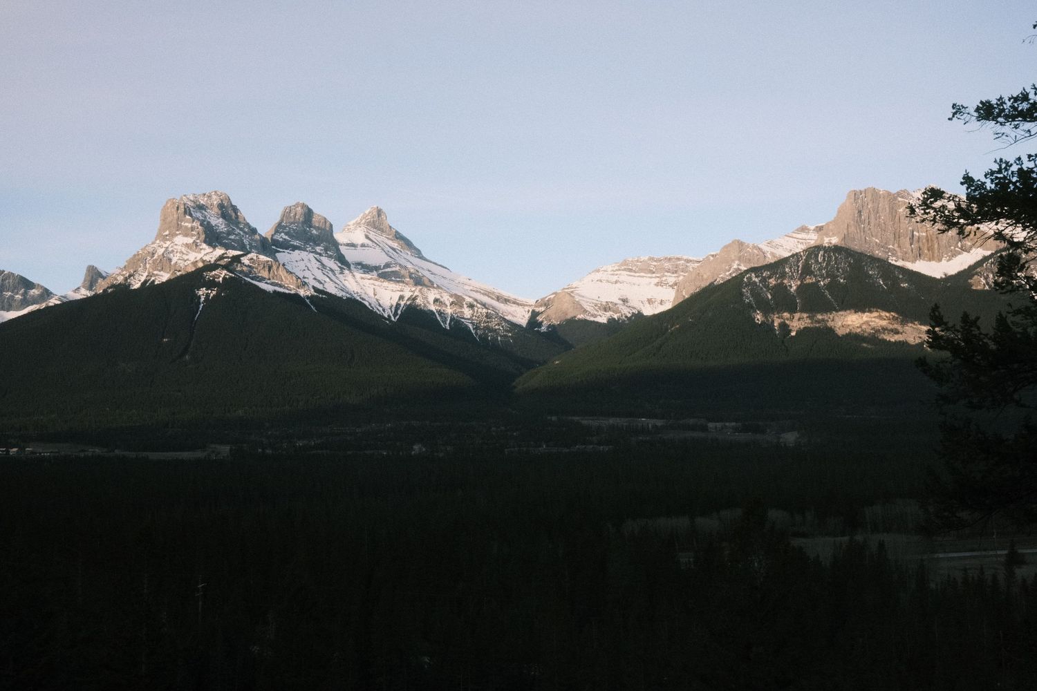 Snow-capped Rocky Mountain peaks rise above dense evergreen forests under a clear blue sky in Banff National Park.