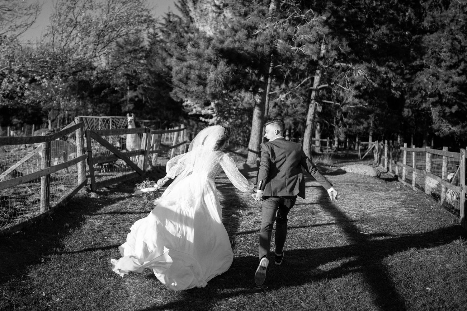 Wedding couple walks along tree-lined path casting long shadows.