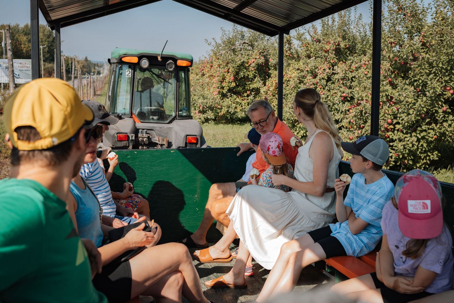 Outdoor tasting session with guests seated under a covered patio area.