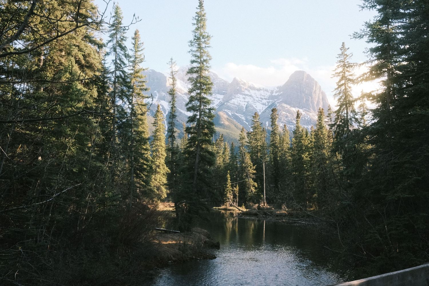 Serene mountain lake surrounded by tall pine trees with snow-capped peaks visible in the background.