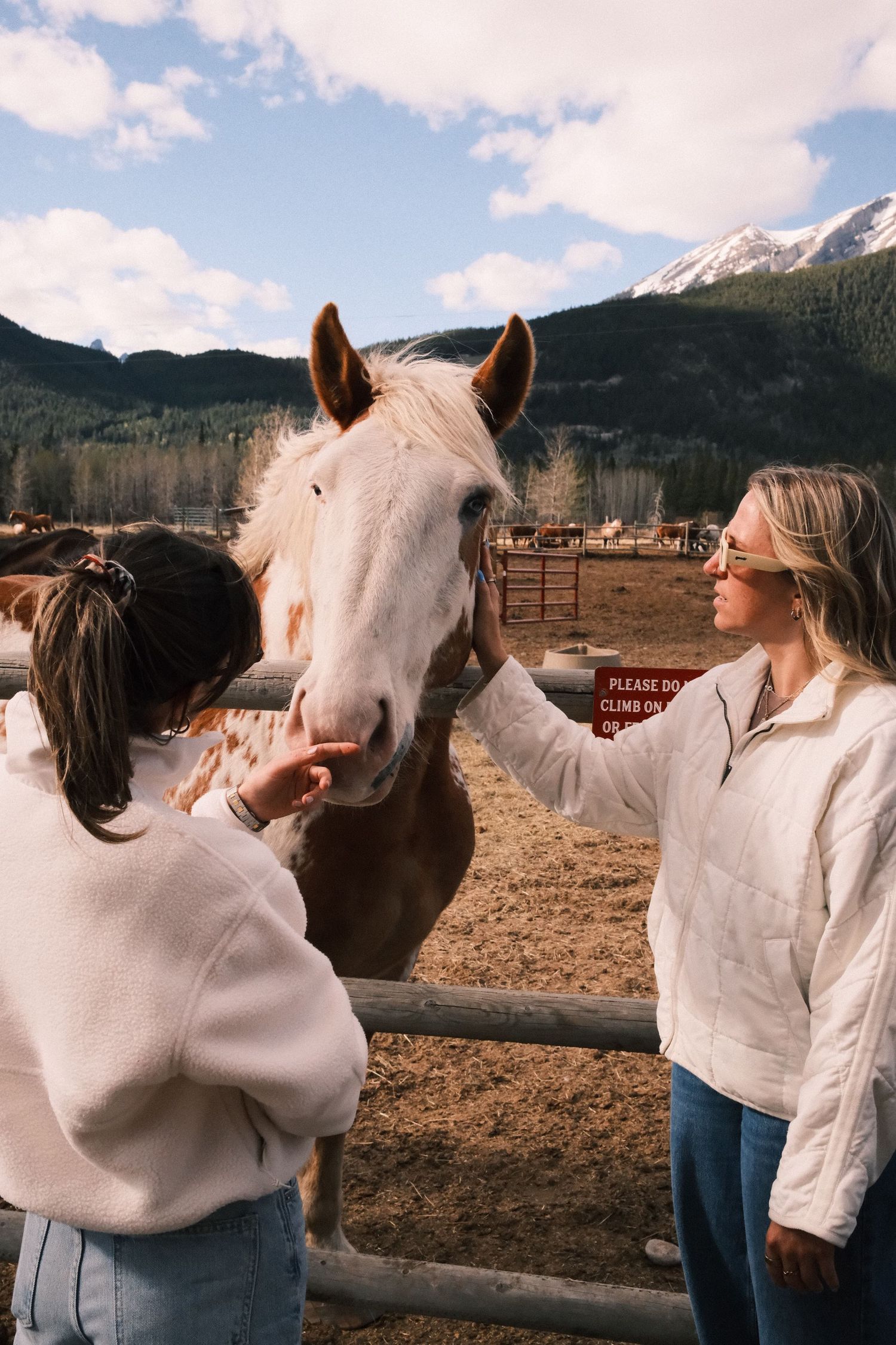 Two women petting a palomino horse at a ranch fence with snow-capped mountains in the background.