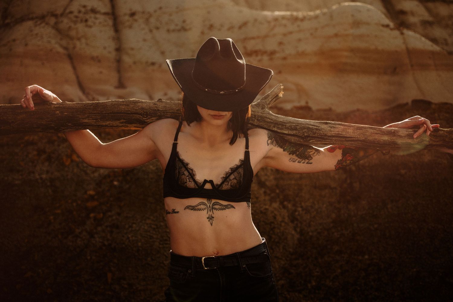 Silhouetted figure in western attire poses against desert backdrop.