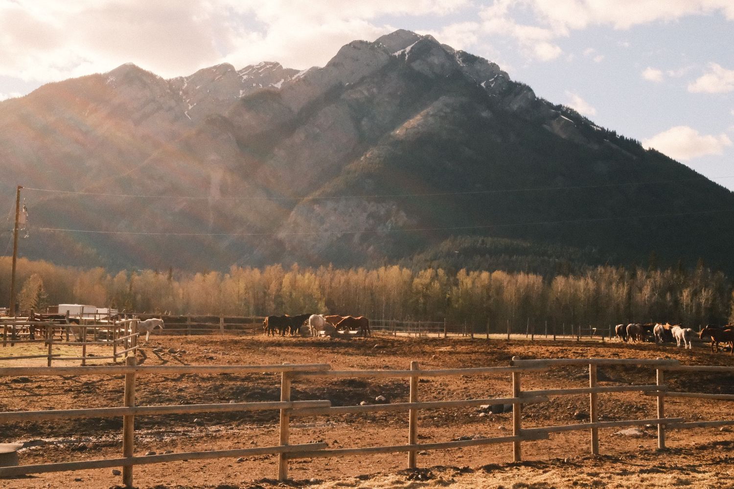Horses grazing in a rustic fenced ranch with golden trees and a dramatic snow-capped mountain backdrop in warm sunlight.