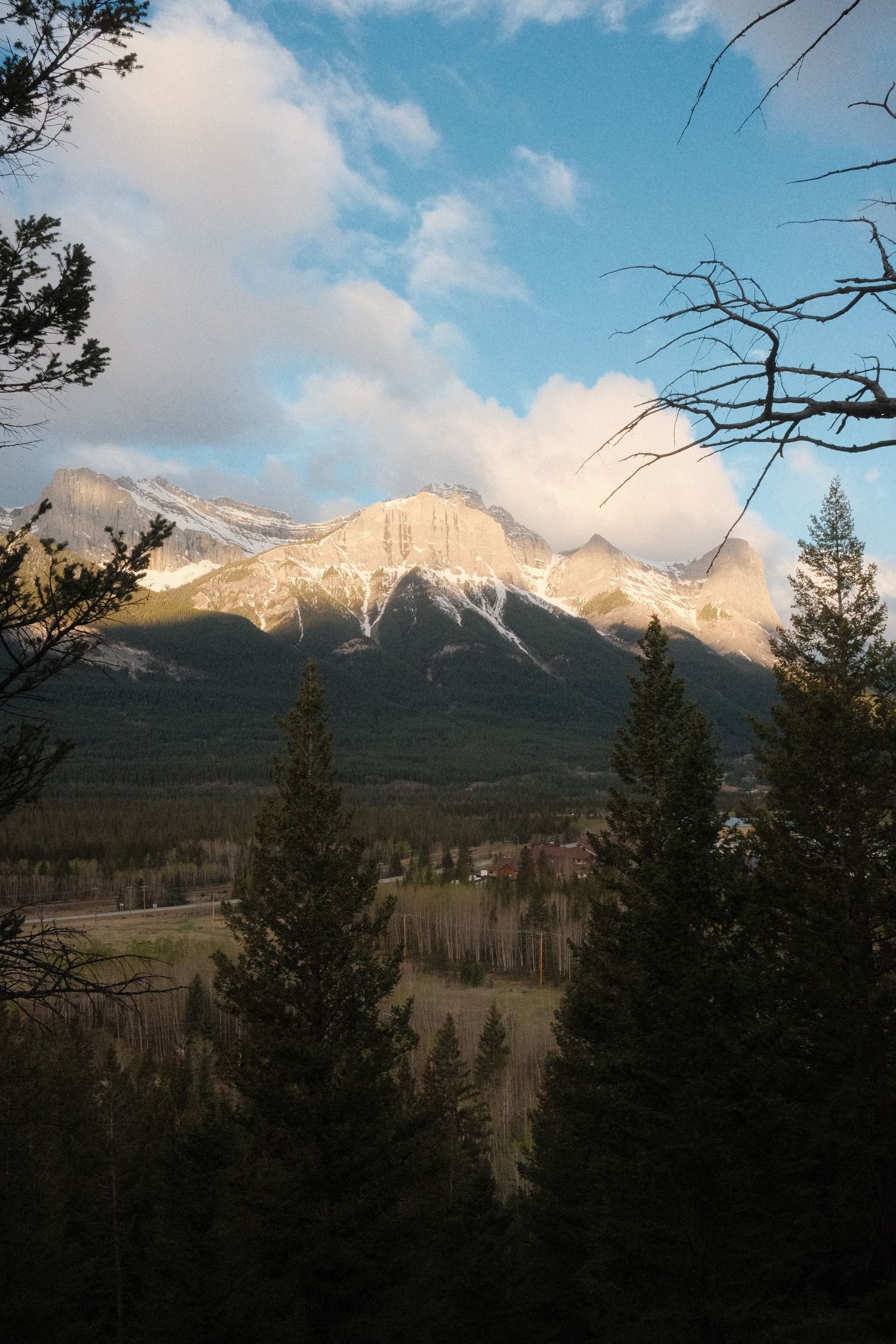 Snow-capped Rocky Mountains rise above a dense evergreen forest valley under a partly cloudy sky at golden hour.