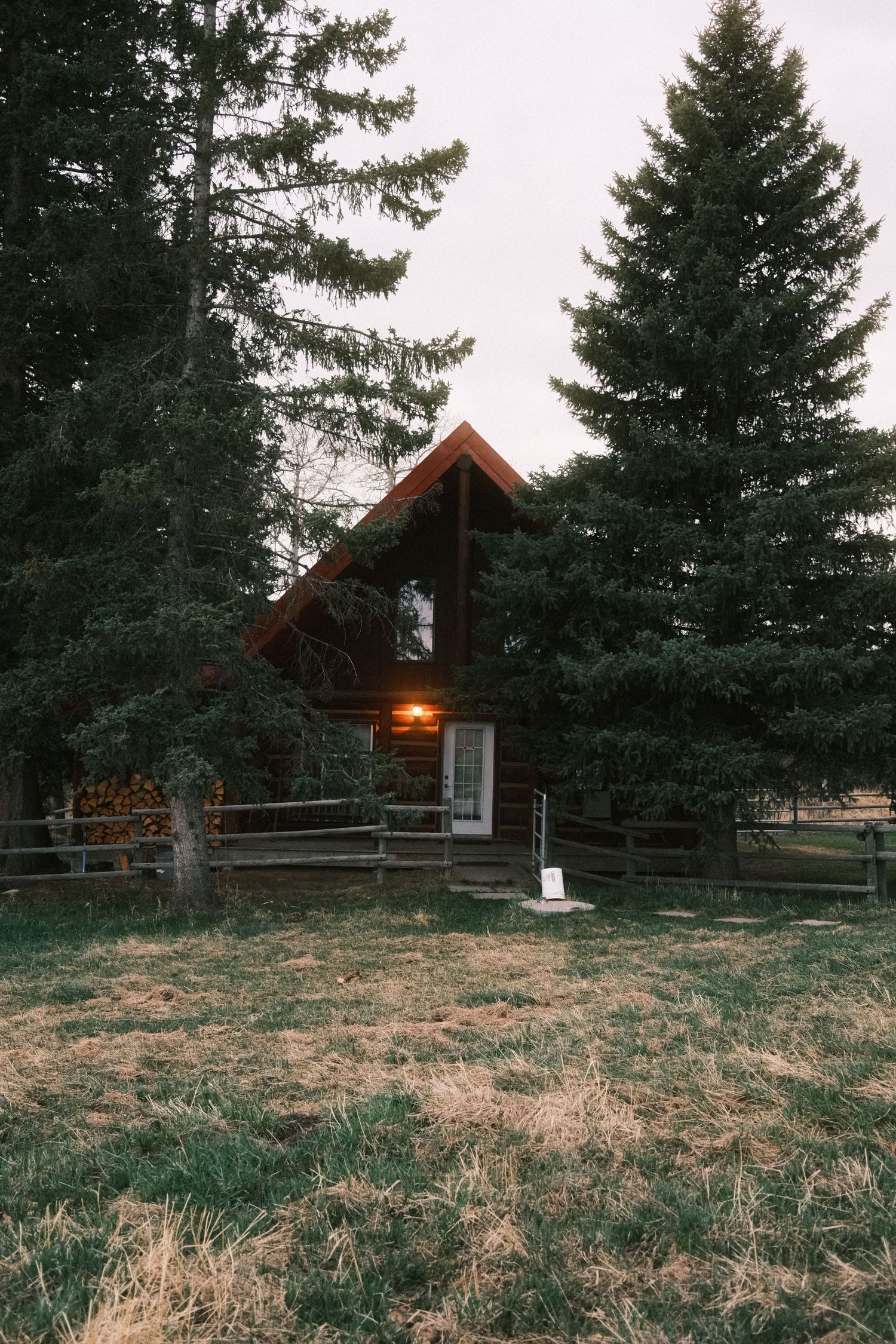 Rustic log cabin with glowing entrance light nestled among tall evergreen trees on a grassy meadow at dusk.