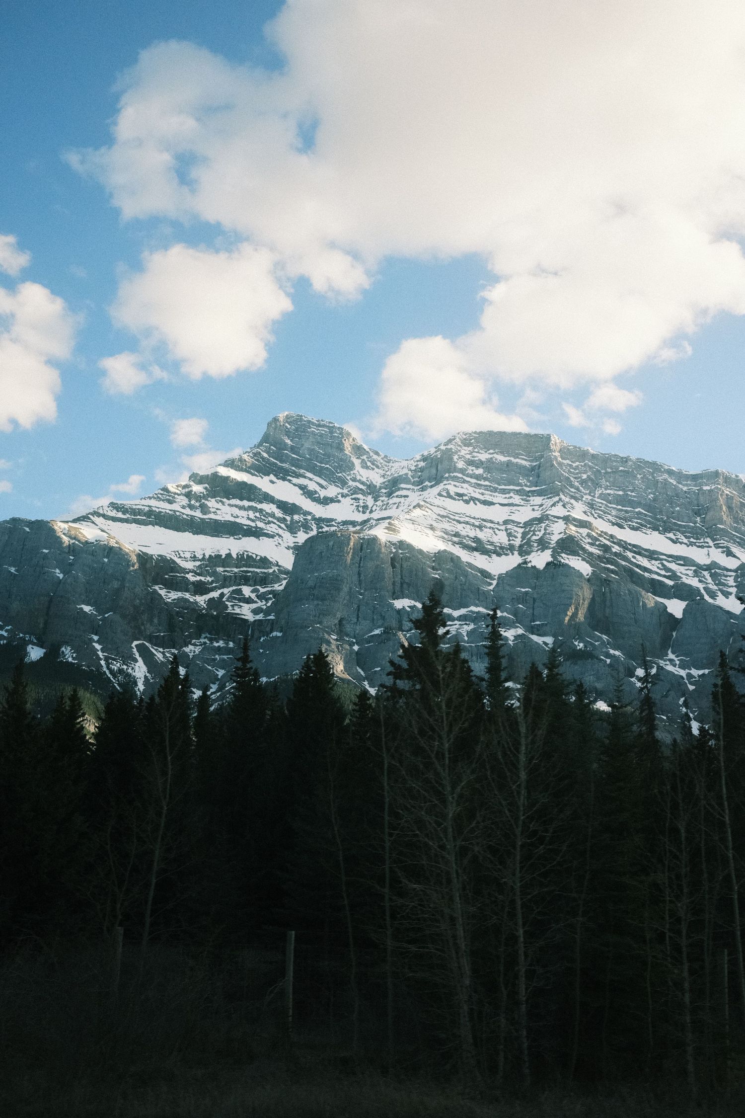 Snow-capped rocky mountain peak rises above dense evergreen forest under partly cloudy blue sky in scenic wilderness.