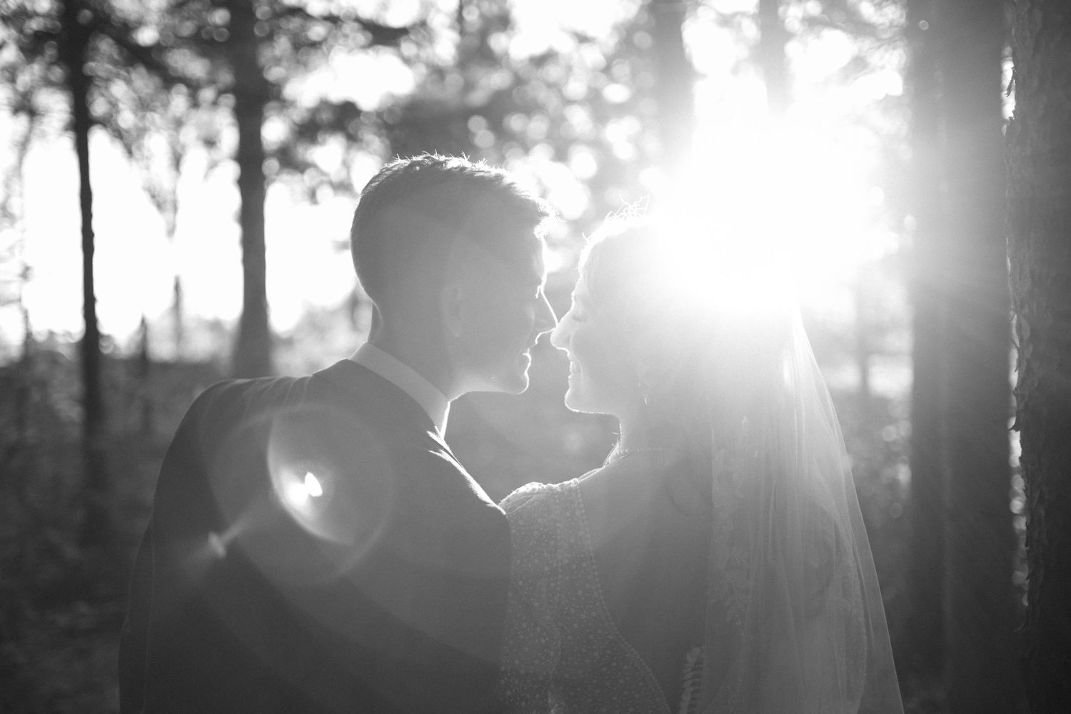 Silhouettes against sunlight through trees creating a dreamy backlit effect.