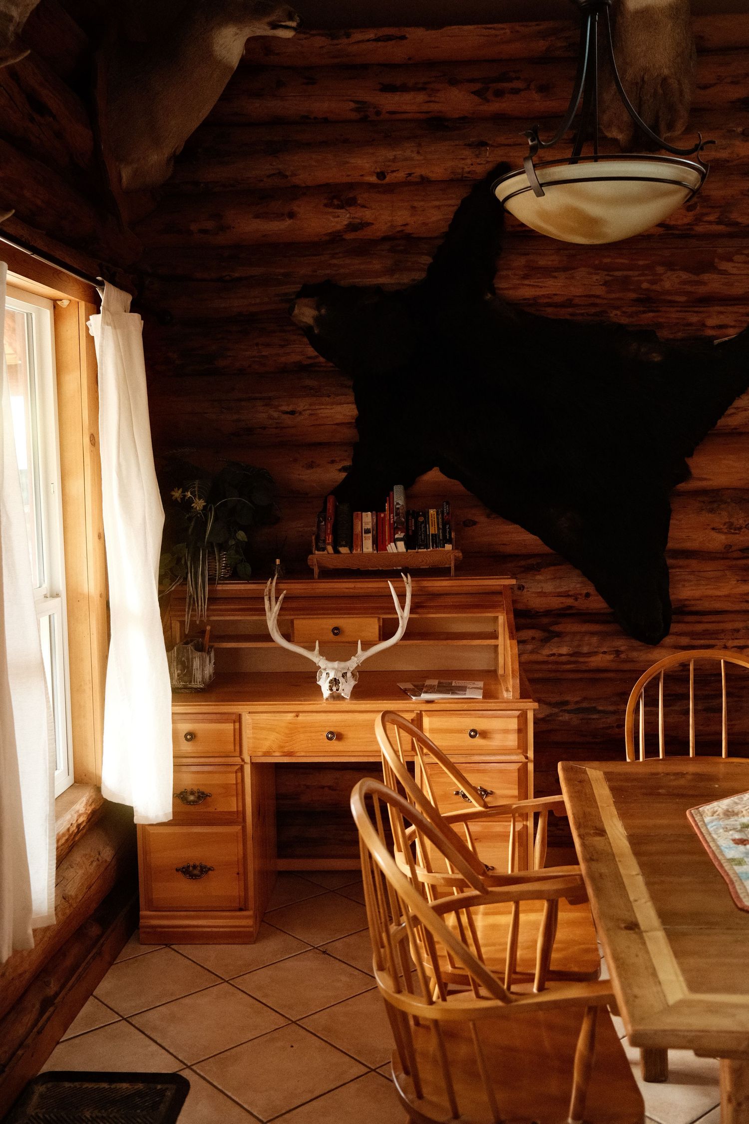 Rustic log cabin interior with wooden desk, antler decor, bear skin wall mount, and dining table near sunlit window.