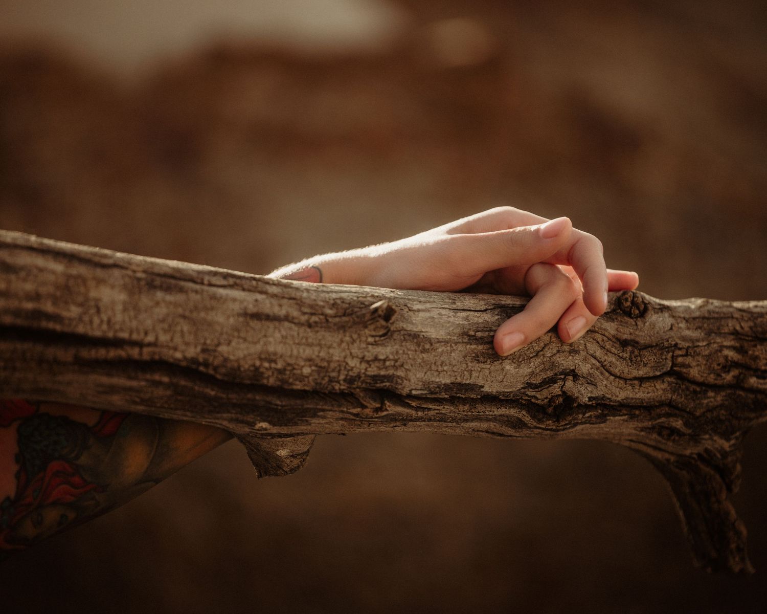 Close-up shot of hand touching weathered wooden branch.