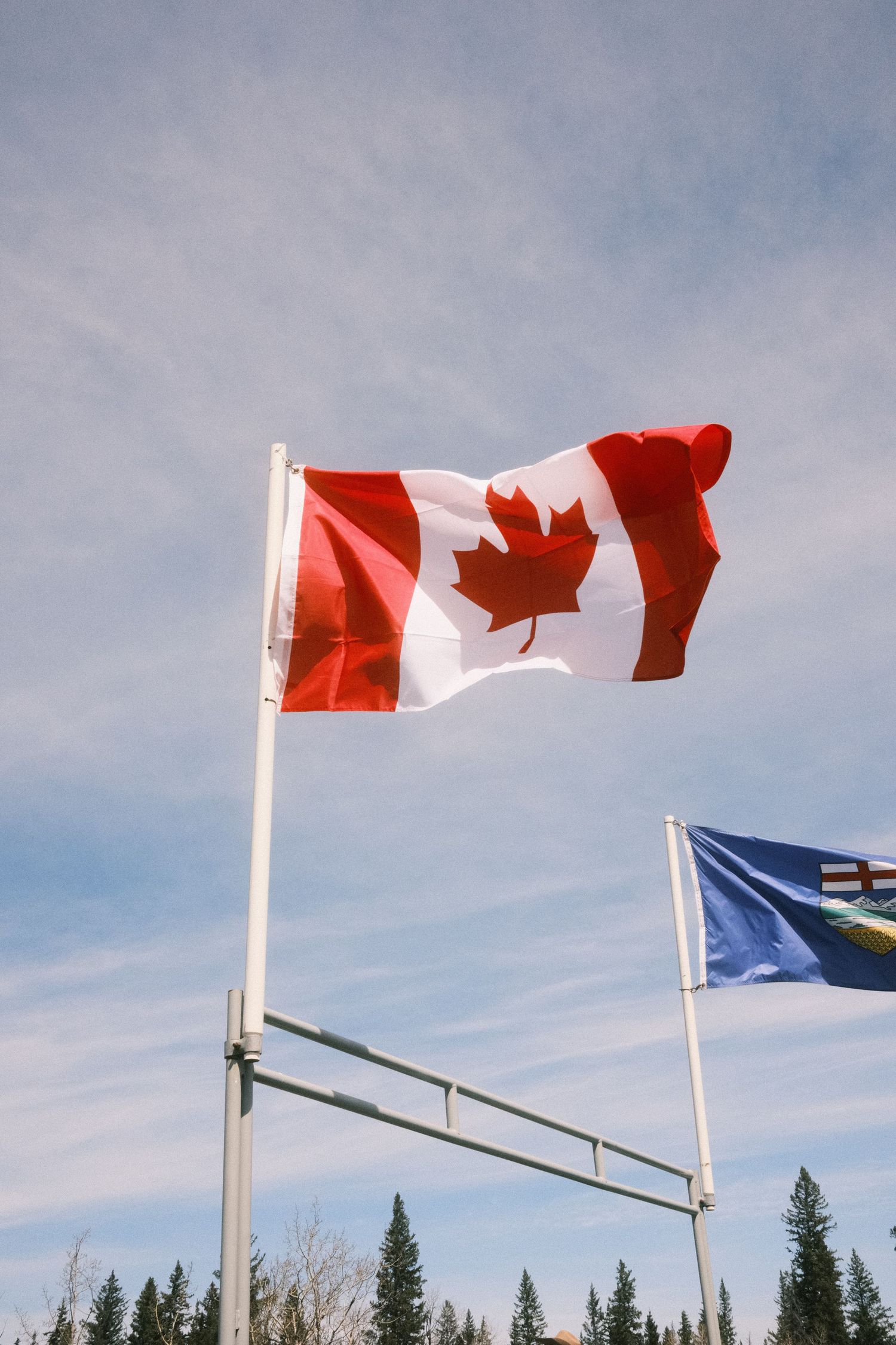 Canadian flag waving proudly on a flagpole with Alberta flag behind it, set against a blue sky with evergreen trees.