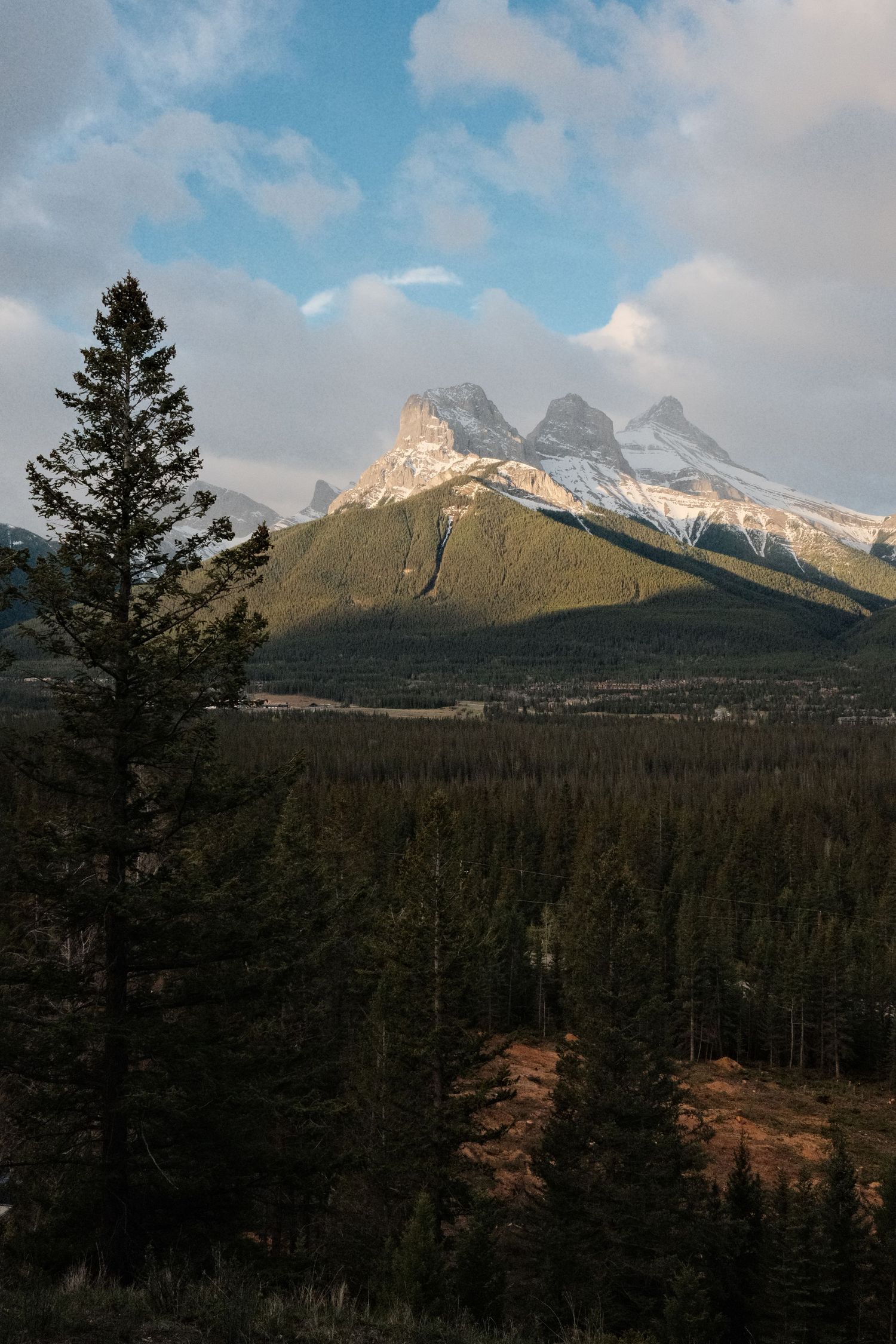Snow-capped Three Sisters mountain peaks rise above a dense evergreen forest in Canmore, Alberta, Canada.