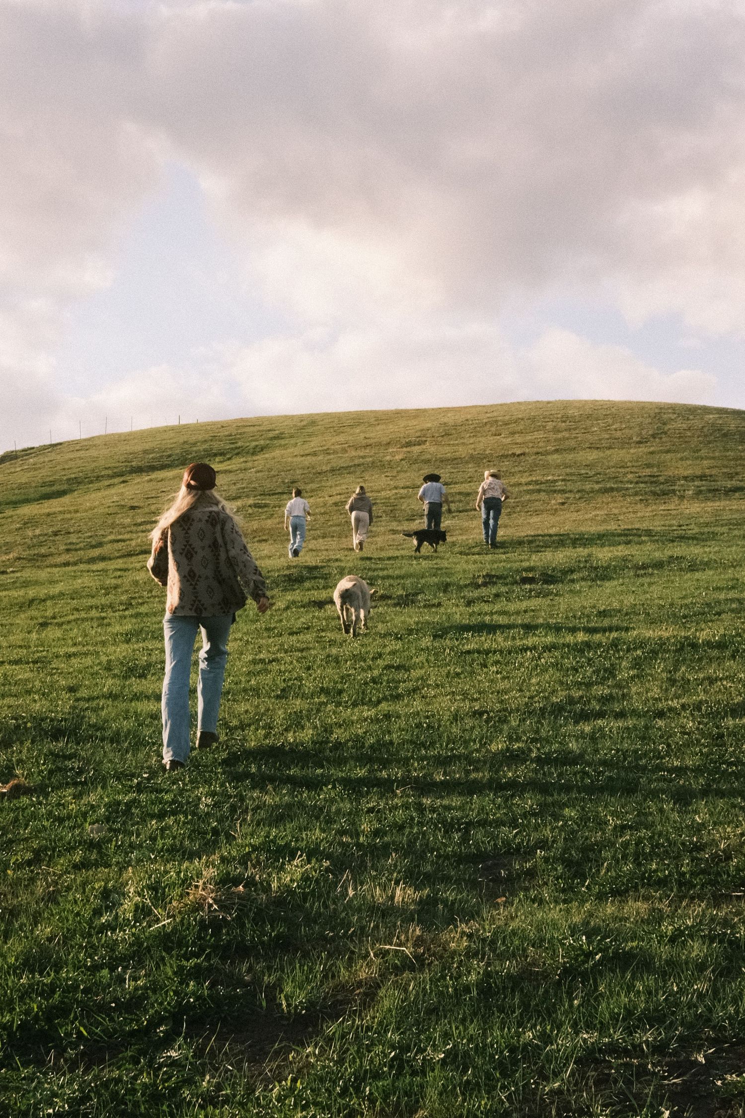 Group of people and dogs walking up a lush green grassy hill under a cloudy sky.