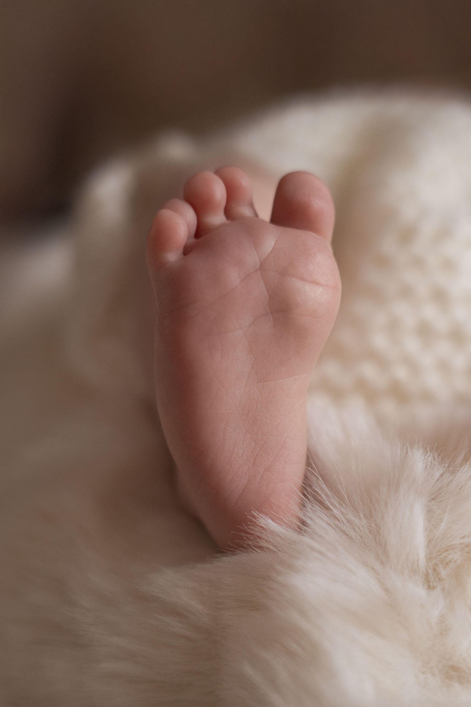 séance naissance à Mallemort, bouches du Rhône