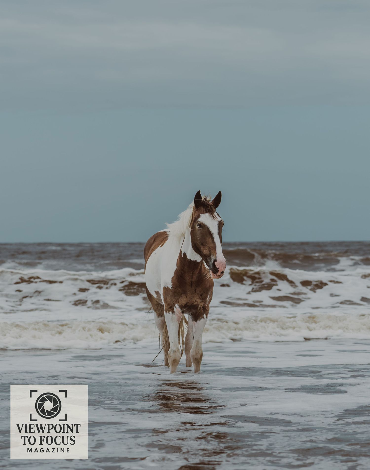A brown and white horse walks through shallow ocean waves along a misty beach shoreline.
