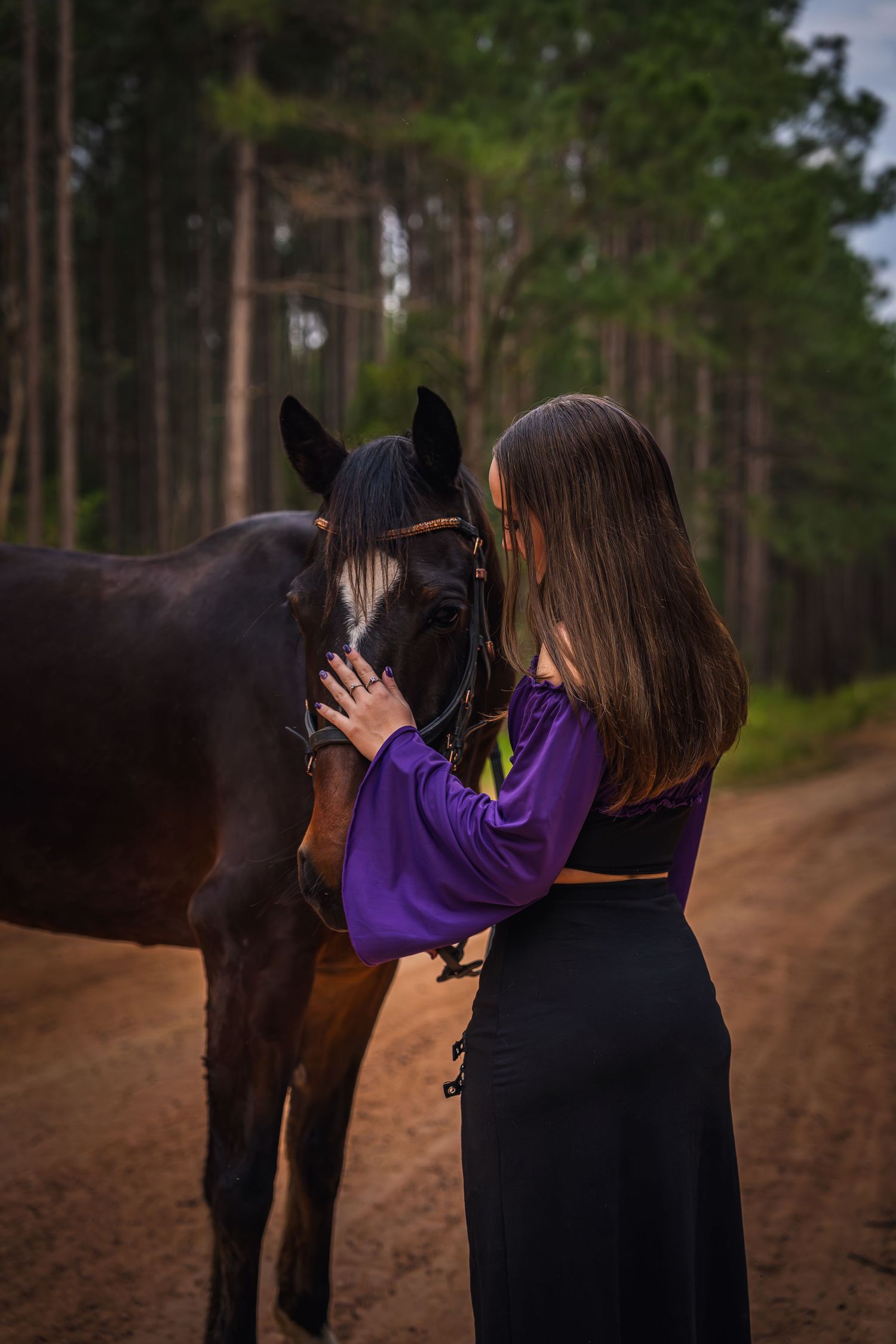 A sequence of photos showing a person in a black dress and purple top interacting with a dark brown horse in a wooded area.