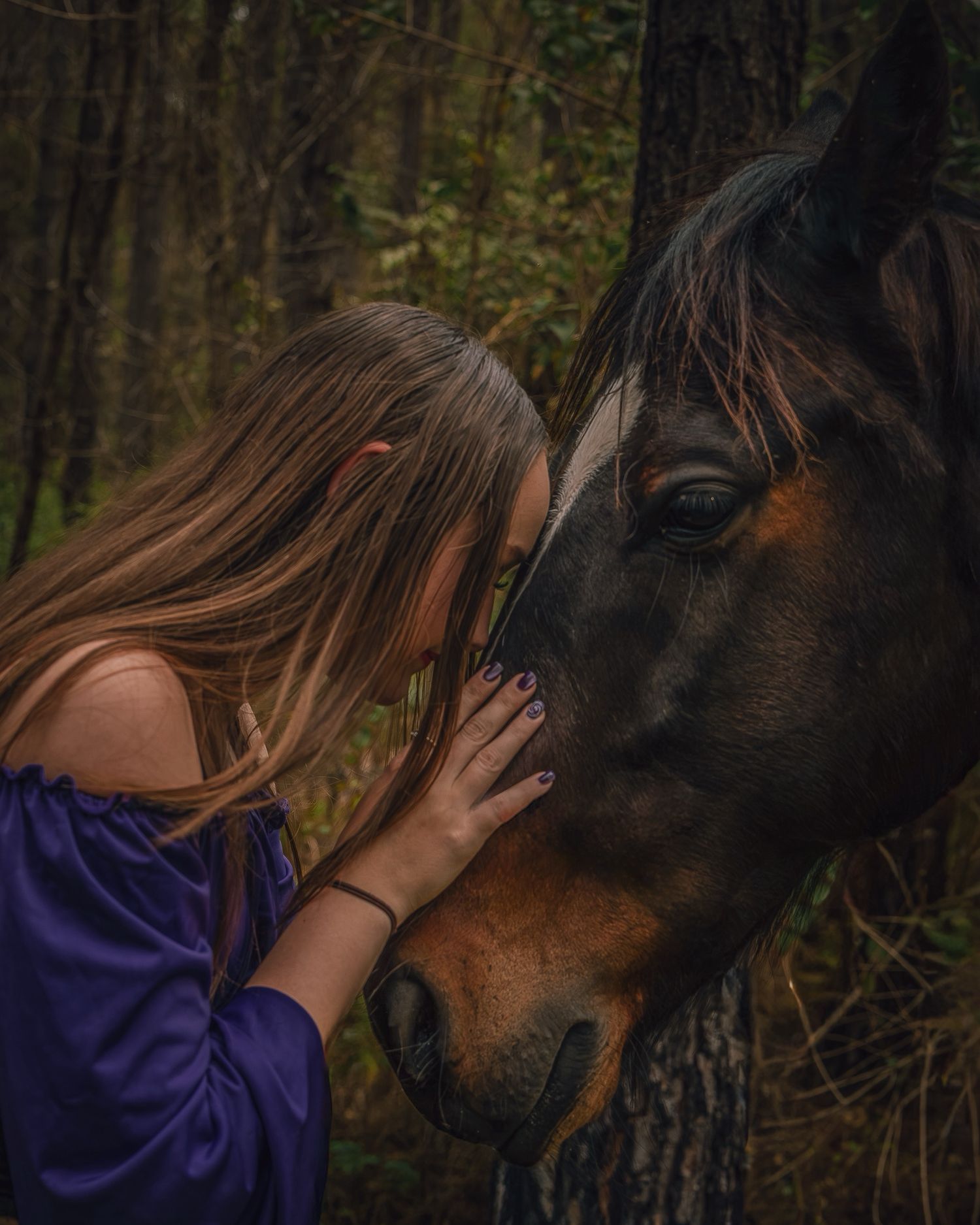 A gentle interaction between a horse and someone wearing purple in a wooded setting.