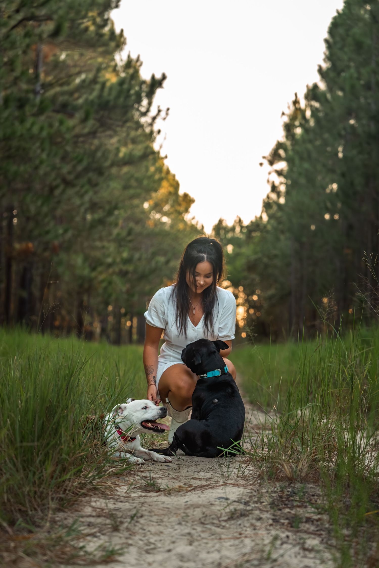 Woman in white dress crouching with two dogs on a sandy forest path at sunset.