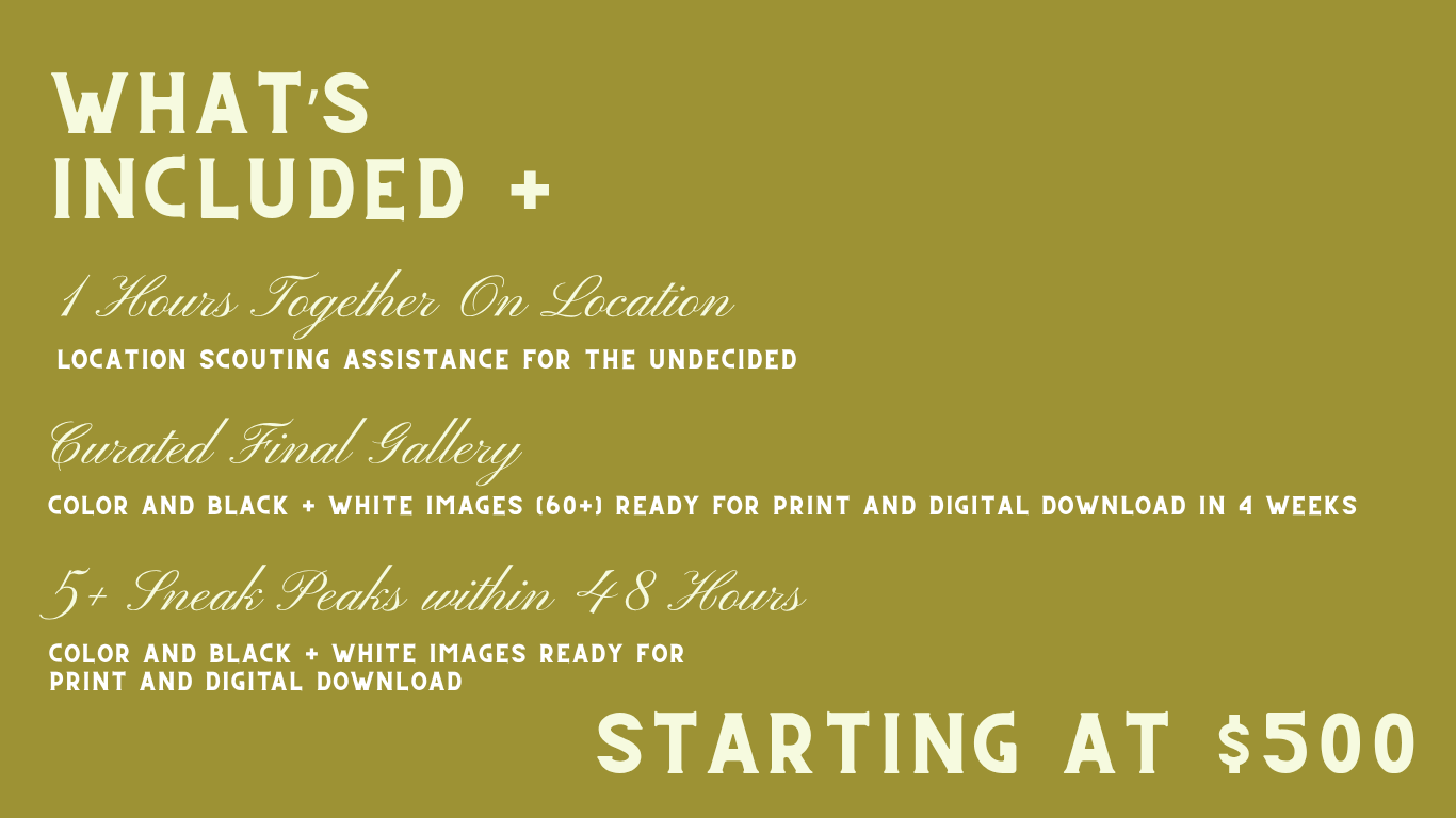Photography package details slide showing services starting at $500, including 4 hours on location and curated final gallery.
