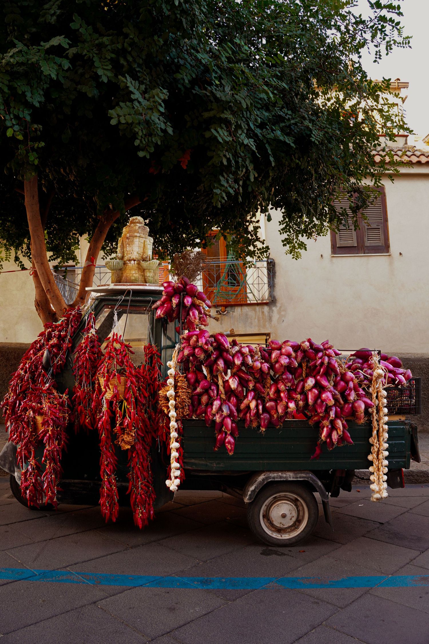 Vintage truck decorated with hanging red chili peppers parked on a street.