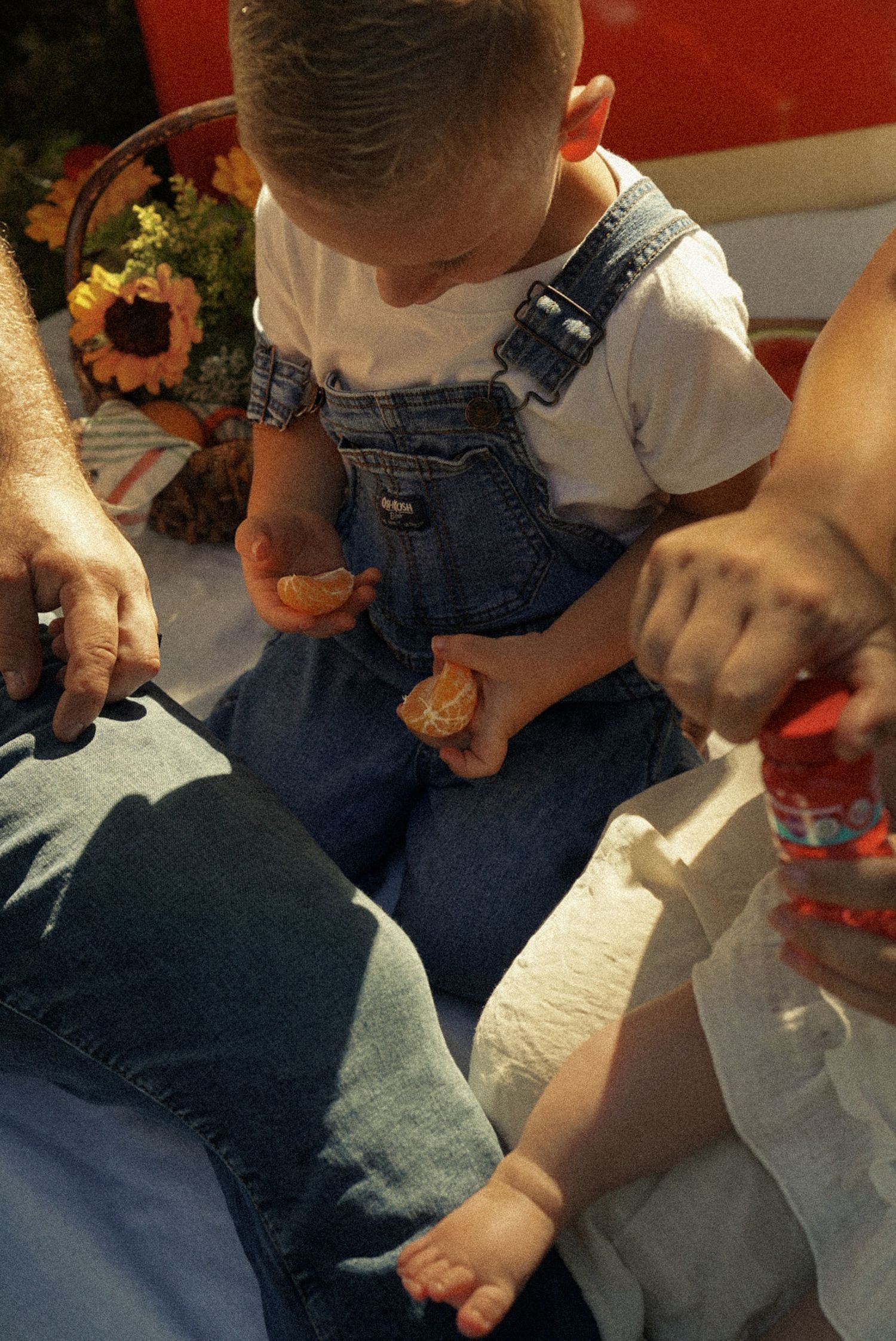 Young toddler in denim overalls eating a snack outdoors, sitting beside adults near sunflowers.