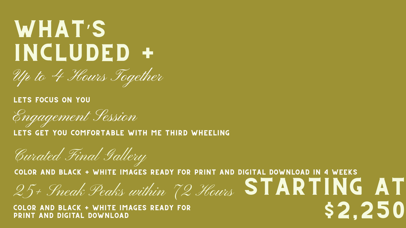 A modern luxury home pricing brochure showing features and pricing details on an olive green background.
