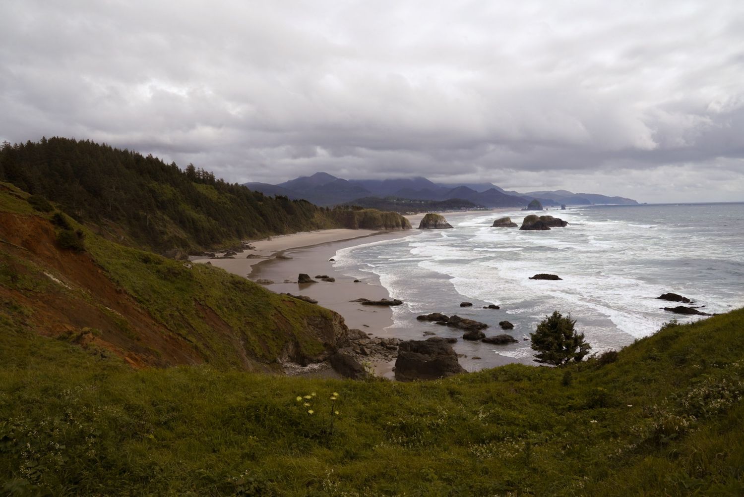 Dramatic Oregon coastline with rocky sea stacks, sandy beach, green cliffs, and stormy skies over the Pacific Ocean.